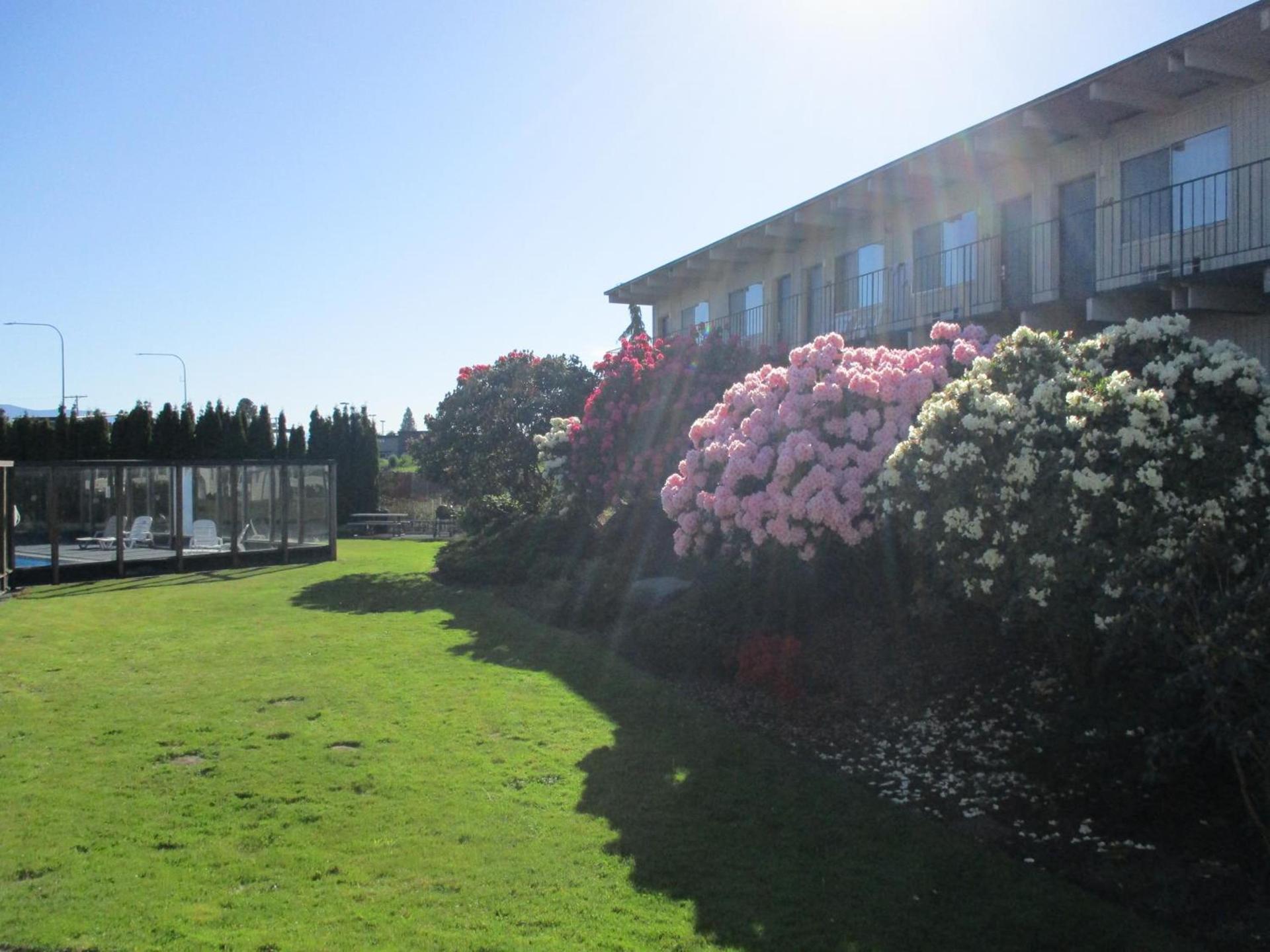Cocusa Motel photo 7