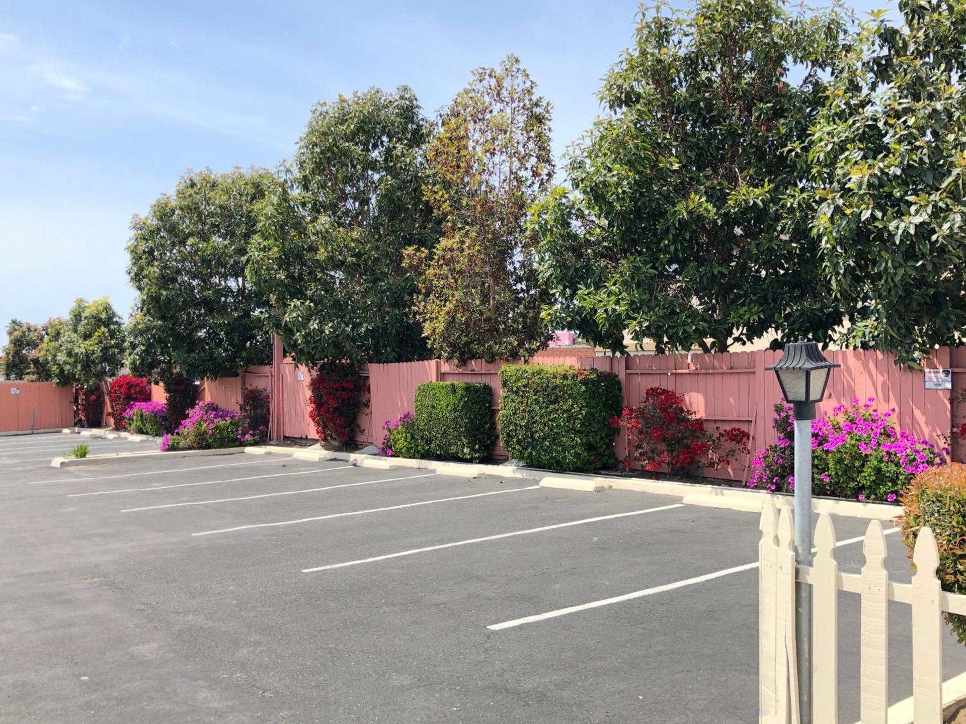 Pacific Inn photo 11