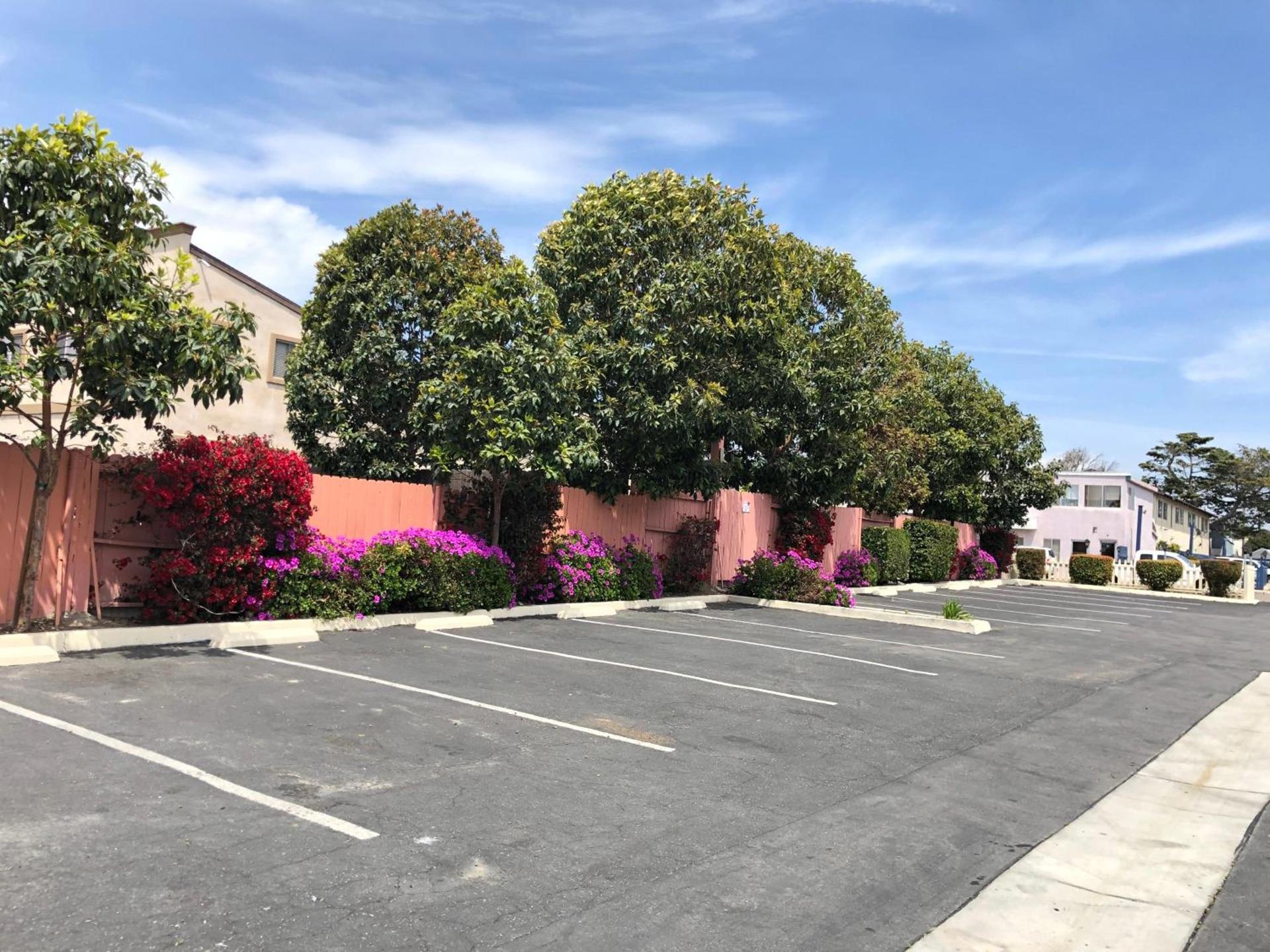 Pacific Inn photo 15