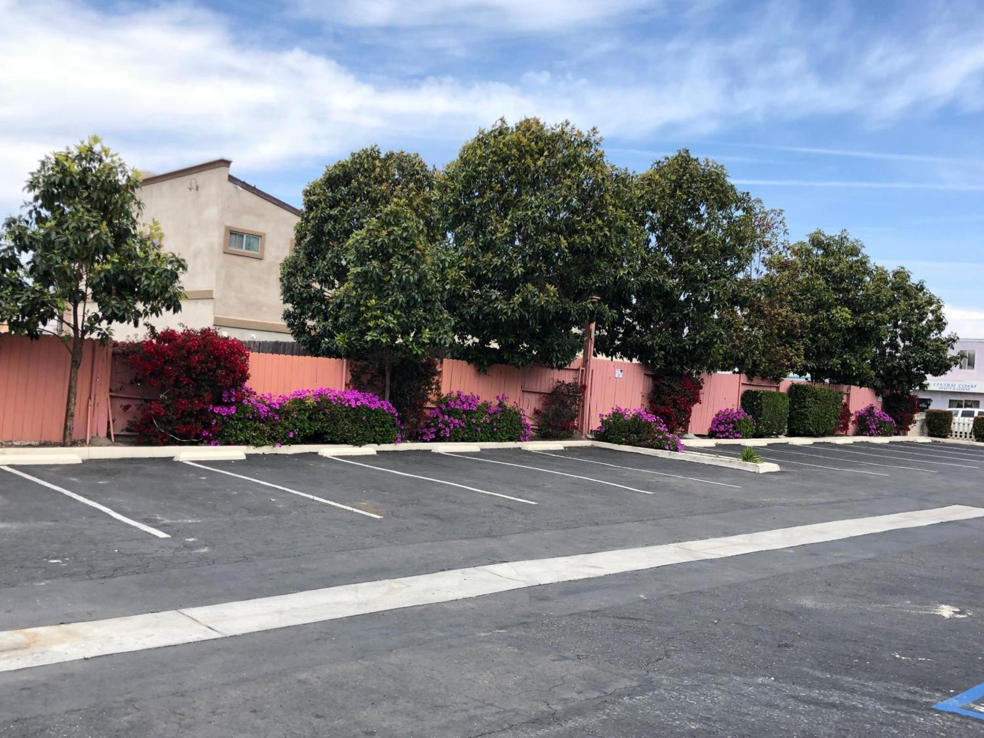 Pacific Inn photo 17