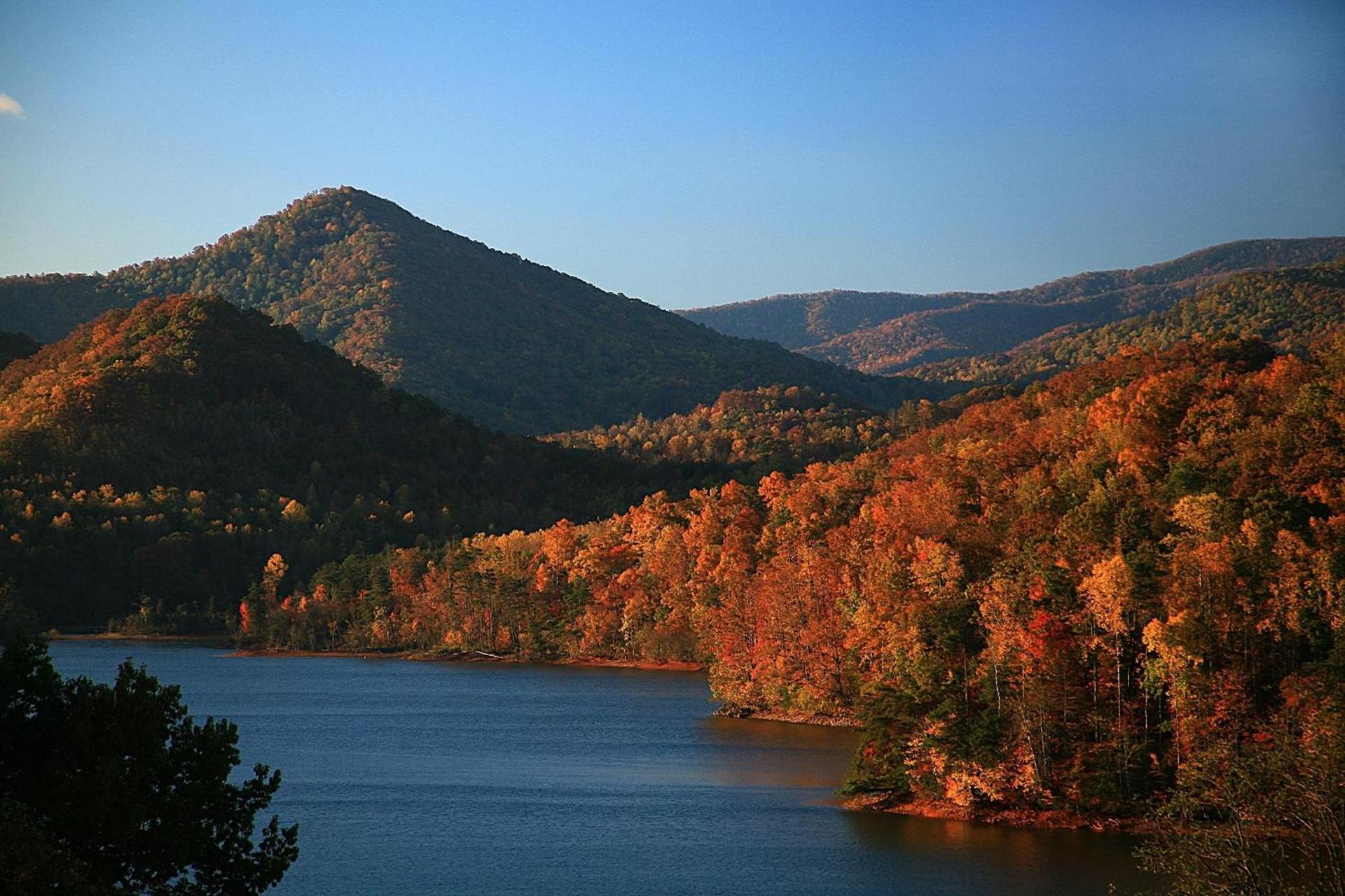Lake Chatuge Lodge photo 38