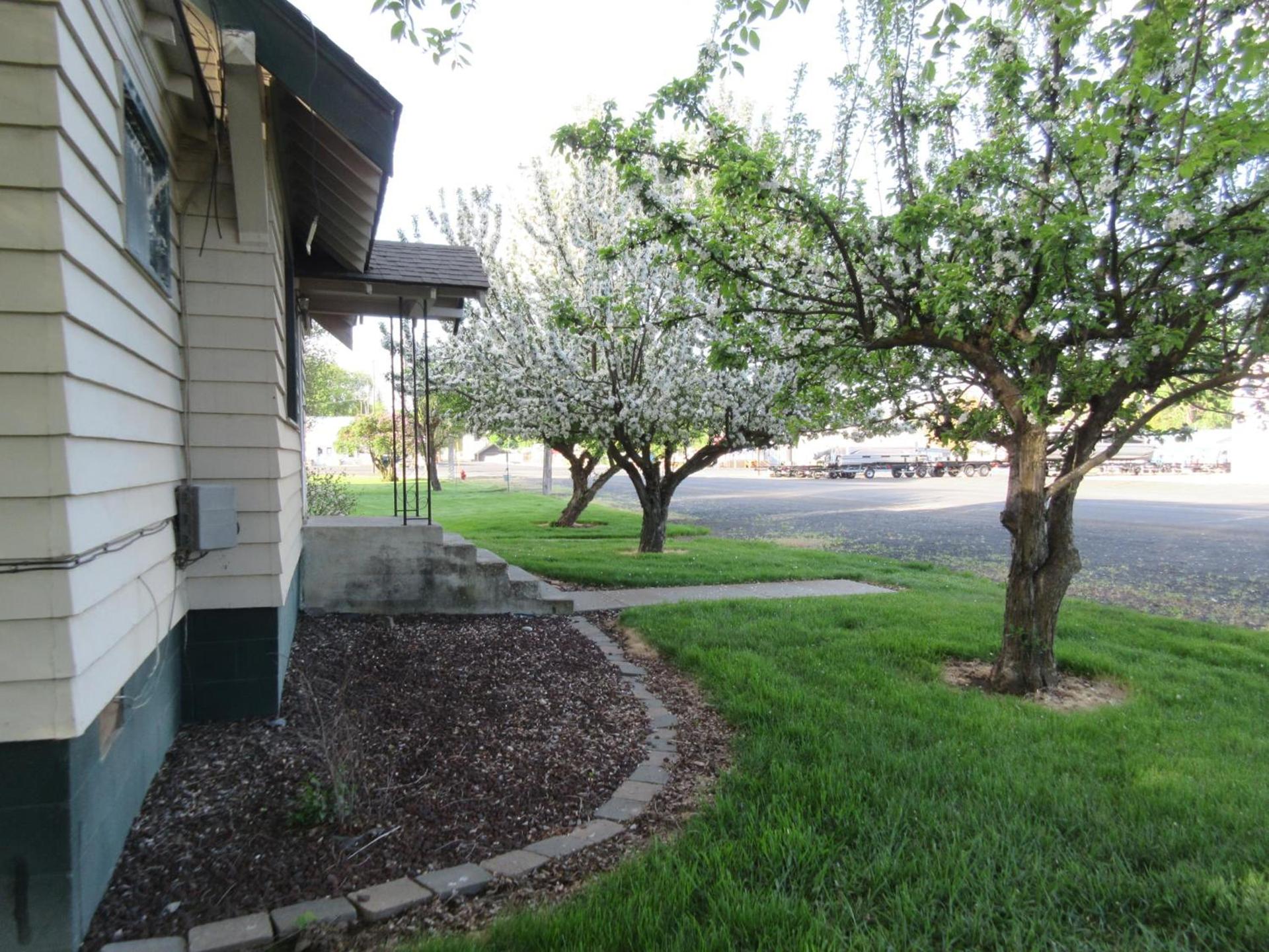 The Willows Motel photo 6