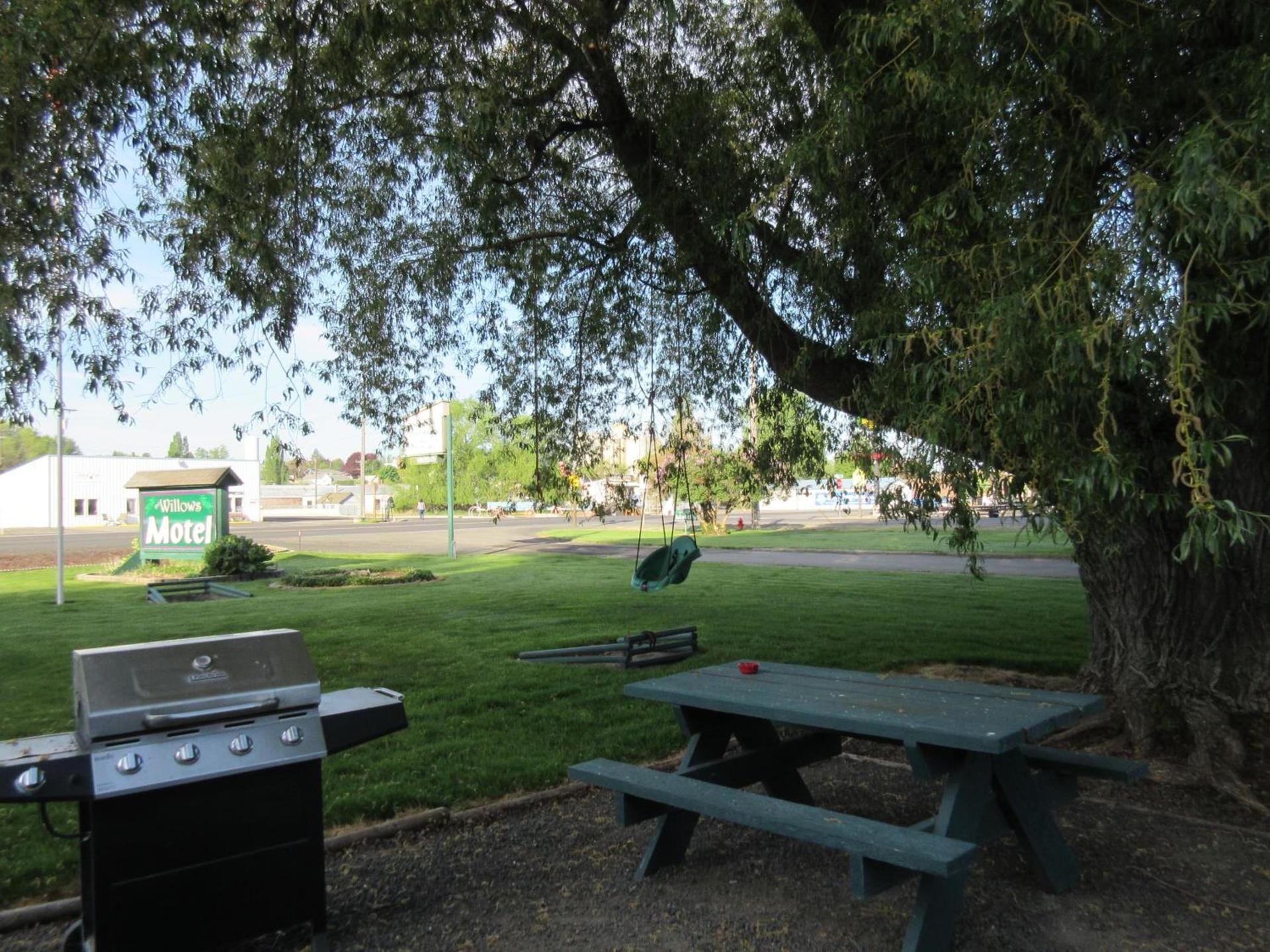 The Willows Motel photo 10