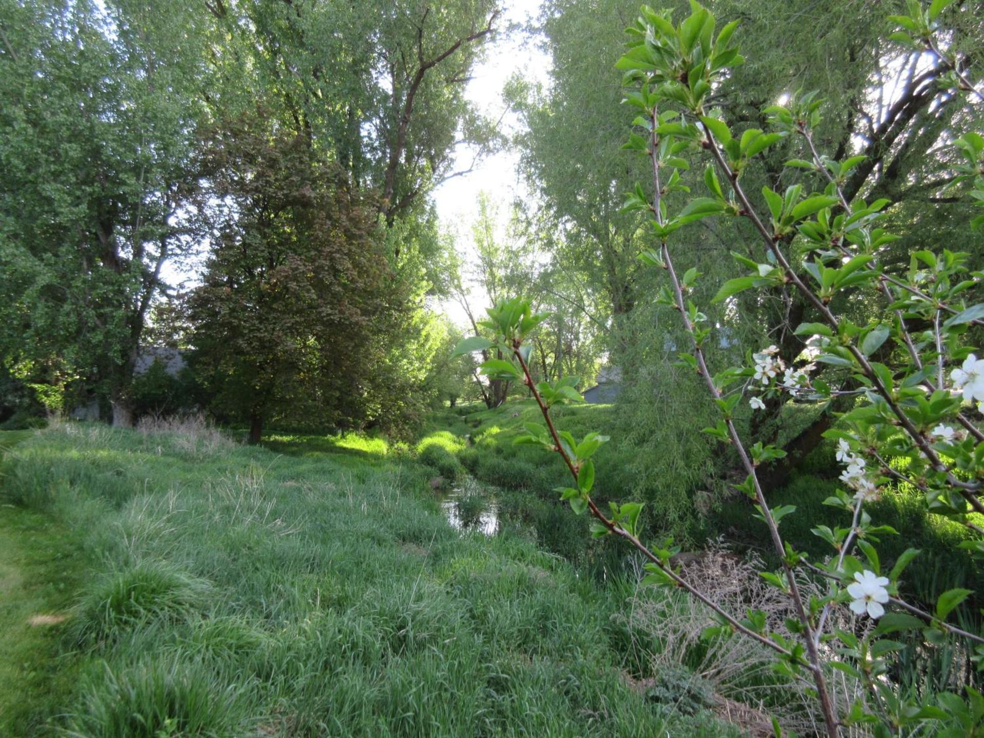The Willows Motel photo 11