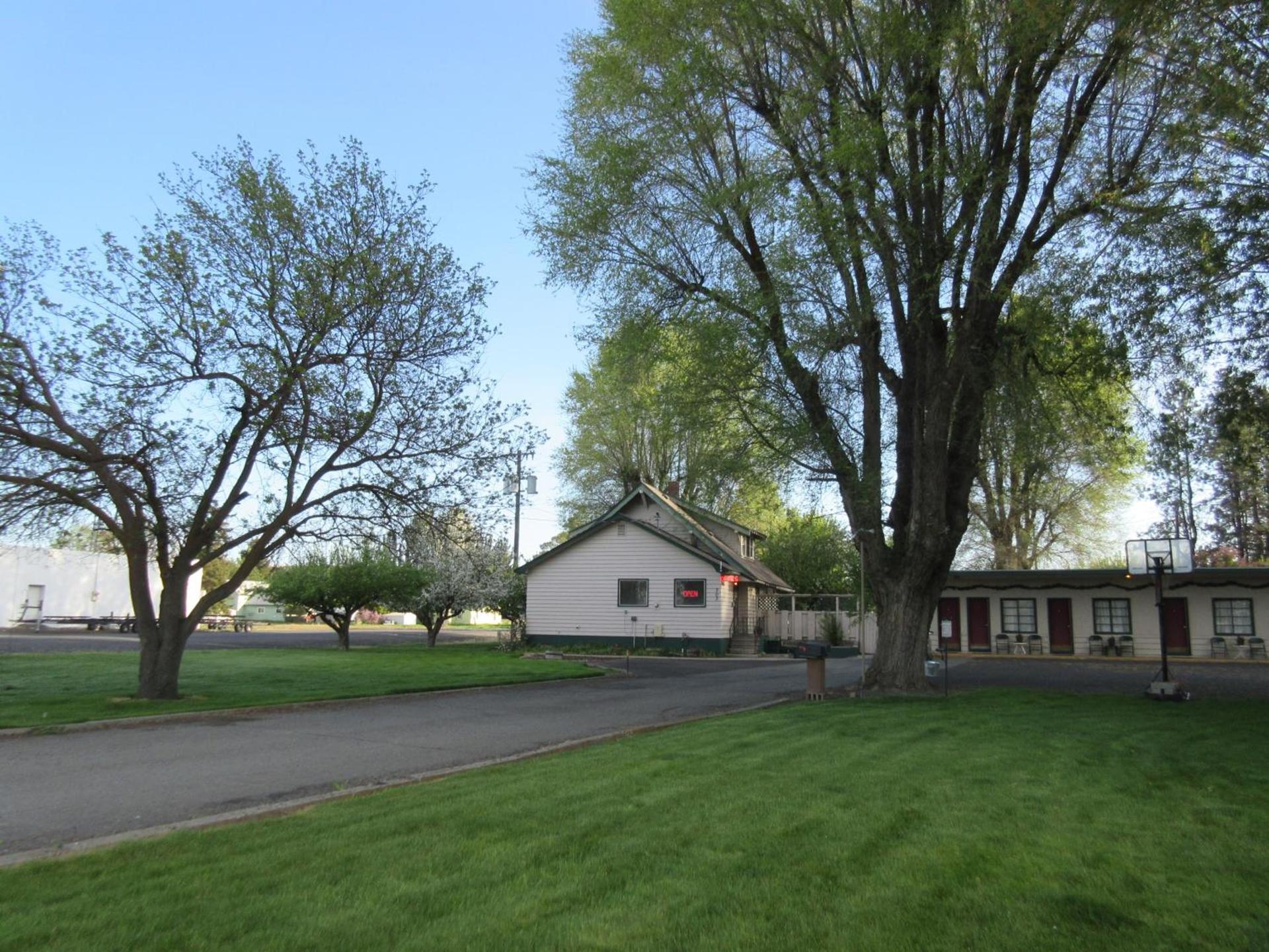 The Willows Motel photo 14