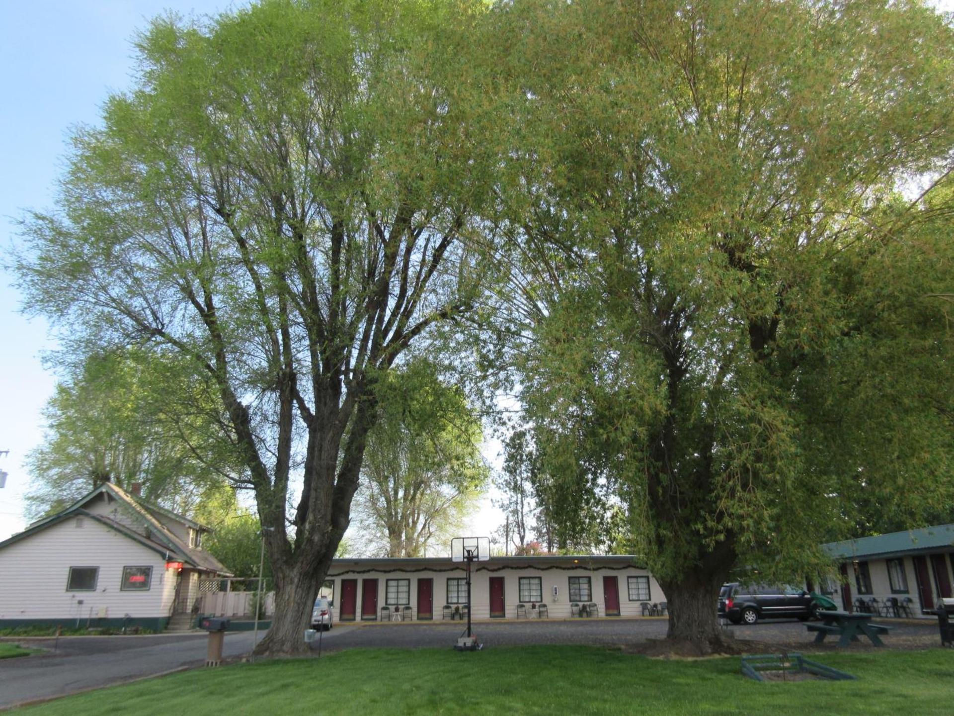 The Willows Motel photo 15