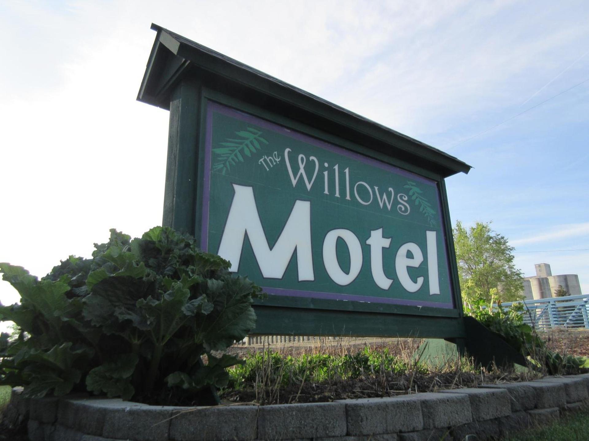 The Willows Motel photo 16