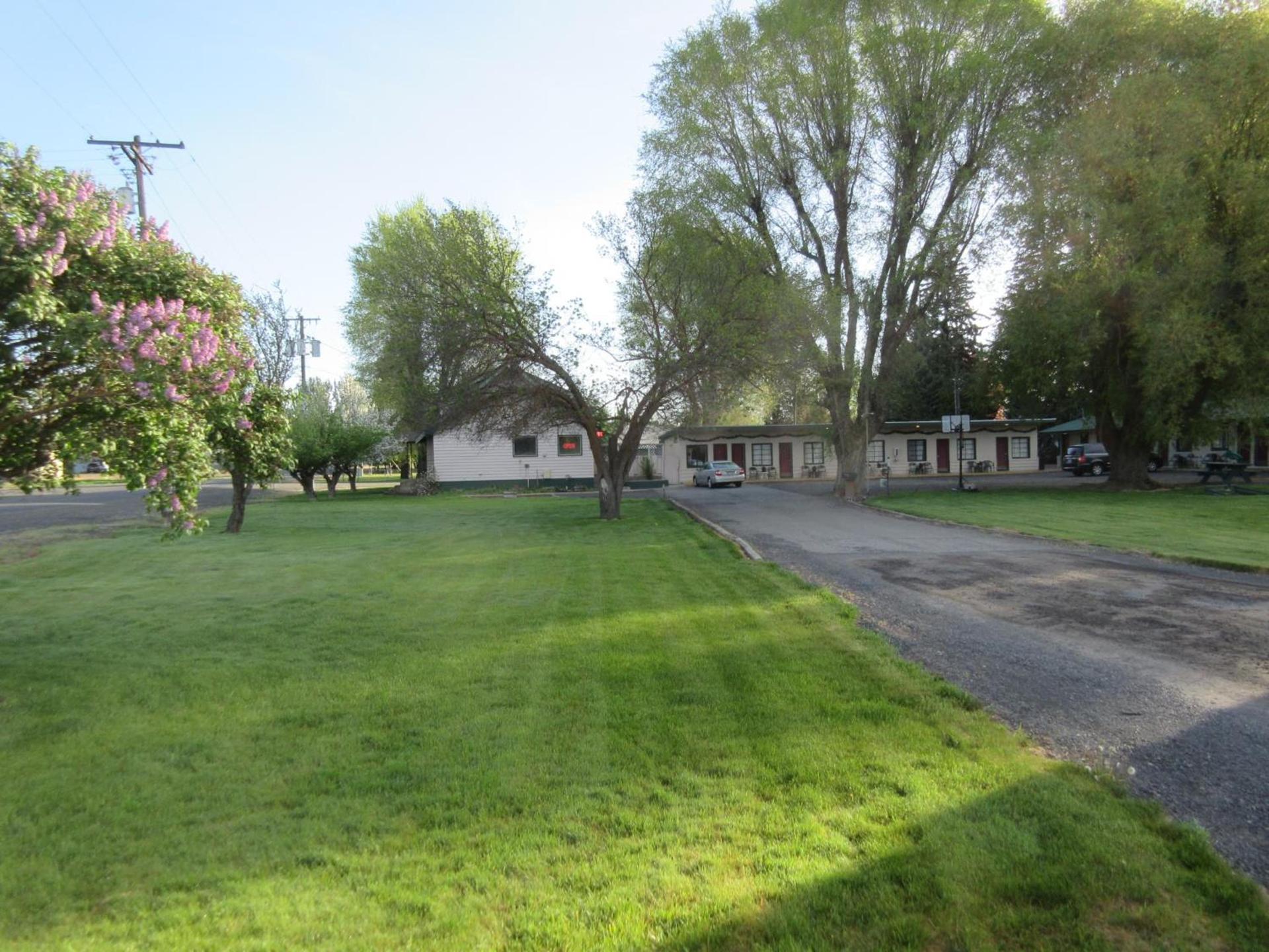 The Willows Motel photo 17