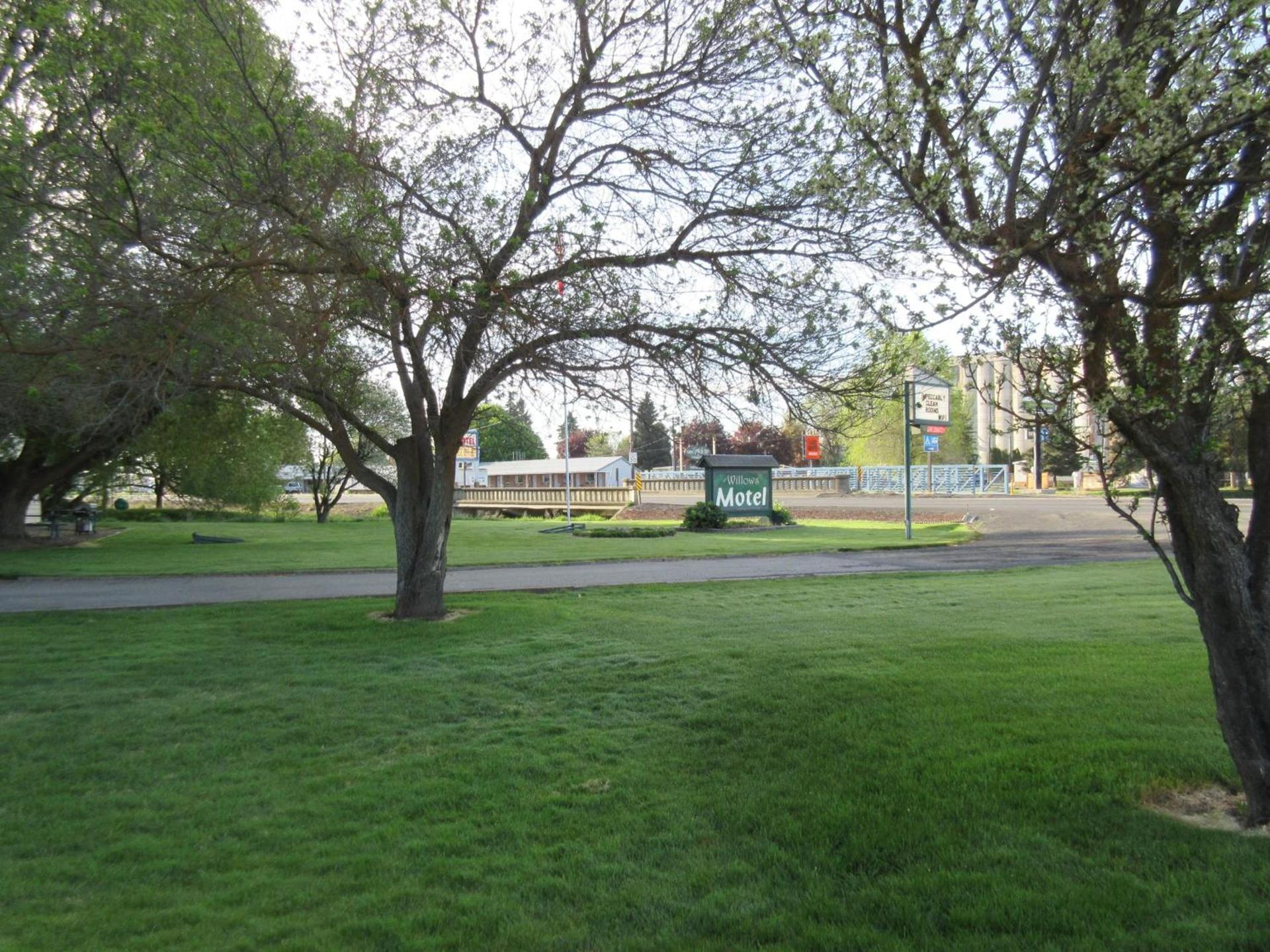 The Willows Motel photo 19