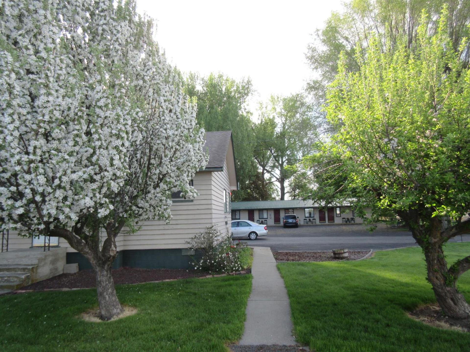 The Willows Motel photo 21