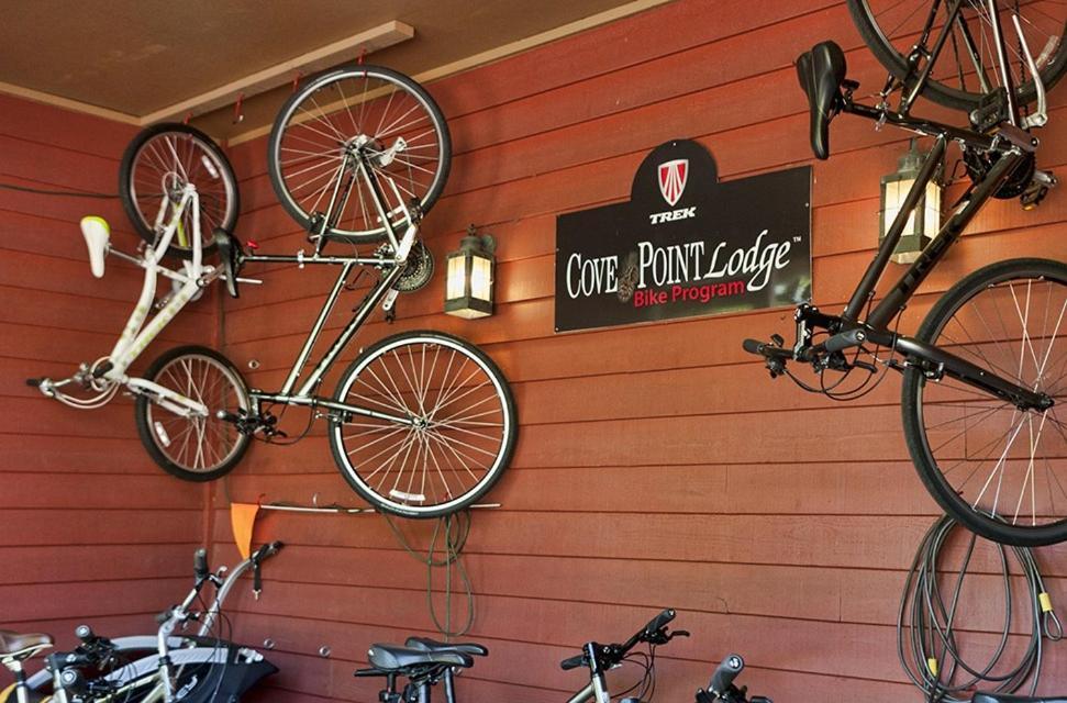Cove Point Lodge photo 17