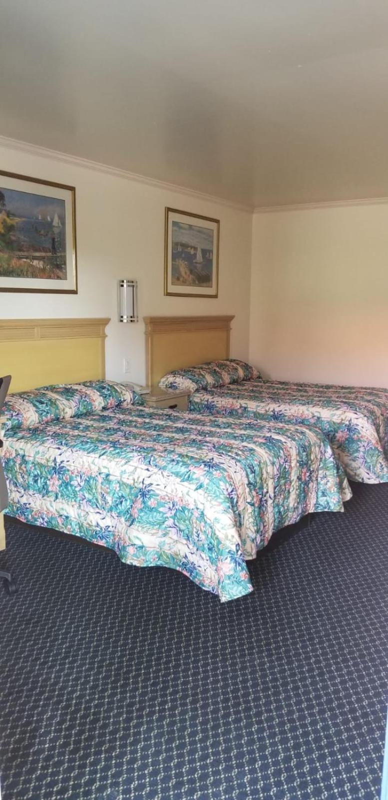 Budget Lodge photo 11