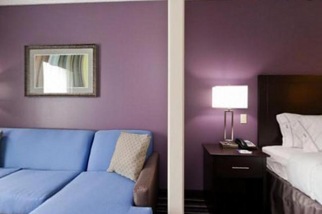 Holiday Inn Express & Suites Raceland - Highway 90 by IHG photo 6