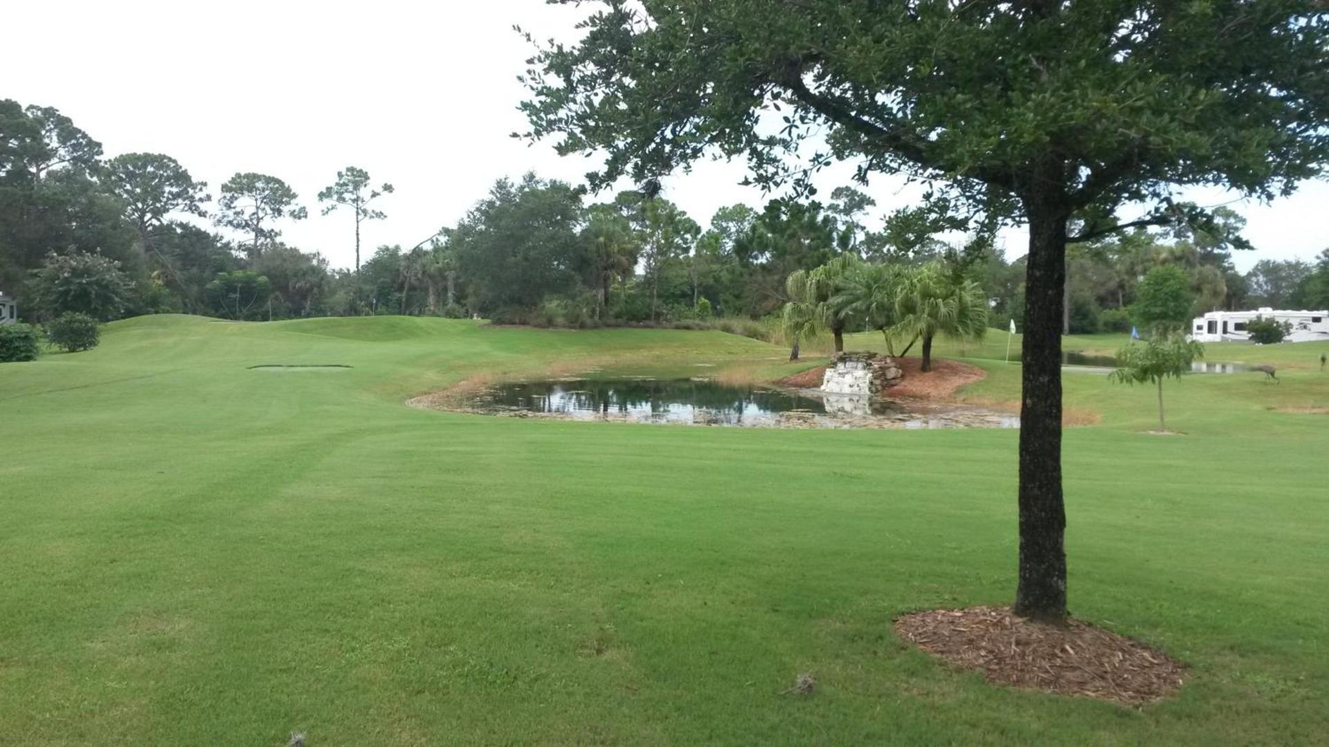Road Runner Travel Resort photo 28