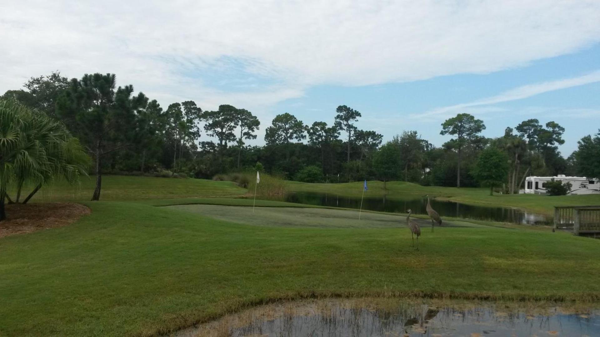 Road Runner Travel Resort photo 37