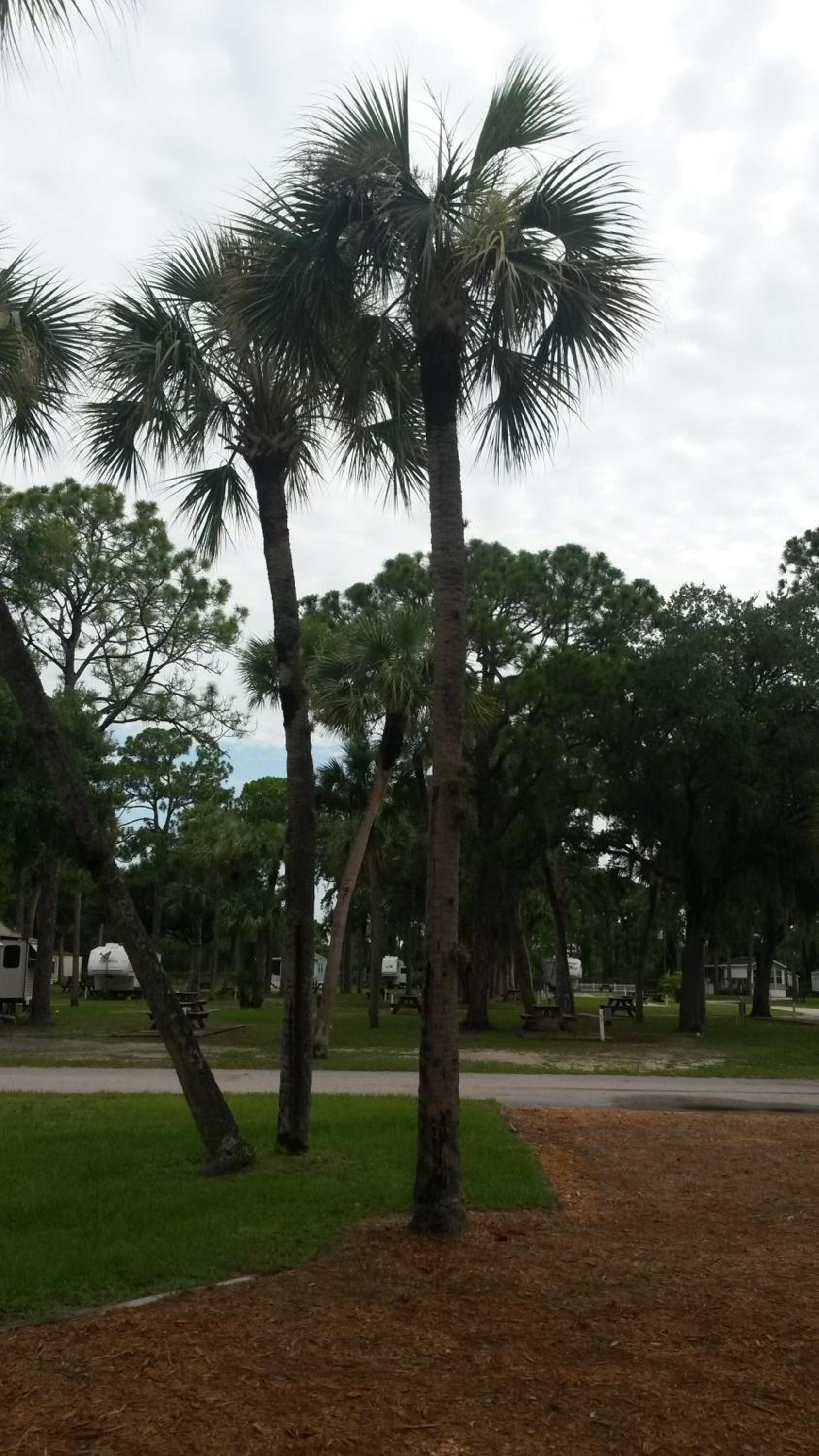 Road Runner Travel Resort photo 55