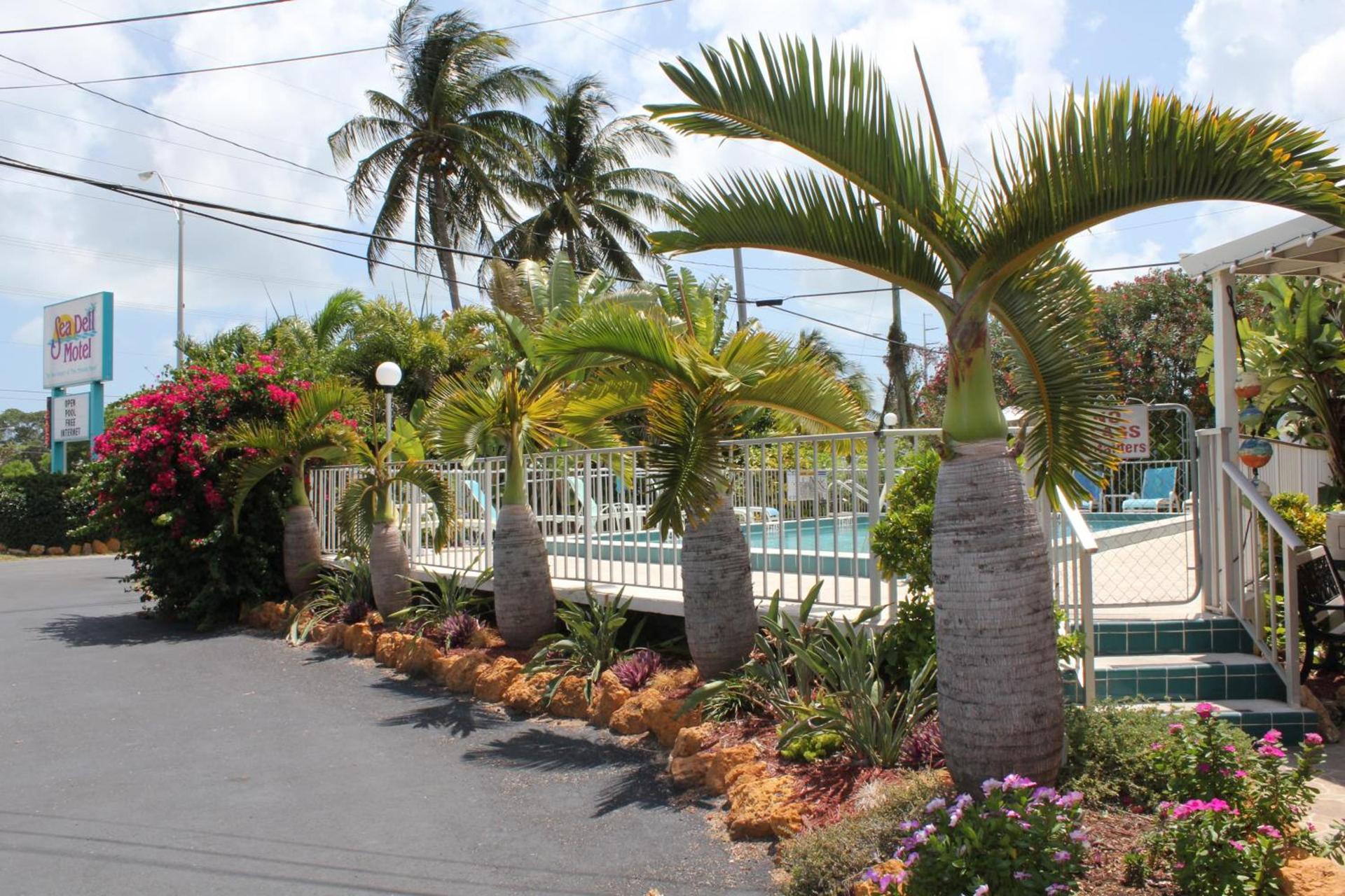 Sea Dell Motel - Marathon photo 11