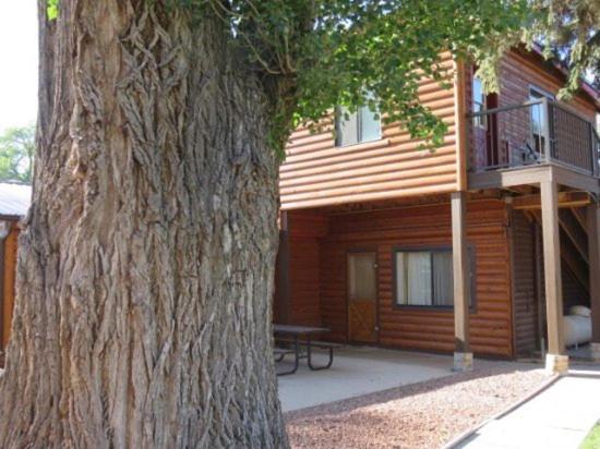 Austin's Chuckwagon Motel photo 6