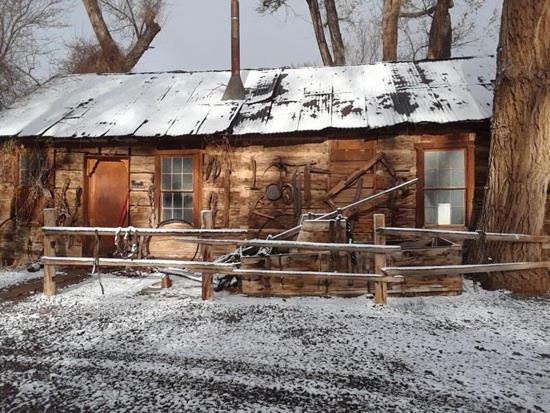Austin's Chuckwagon Motel photo 4