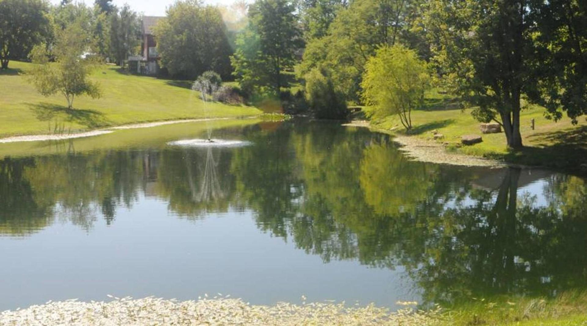 Wyndham Garden Galena Hotel & Day Spa photo 73