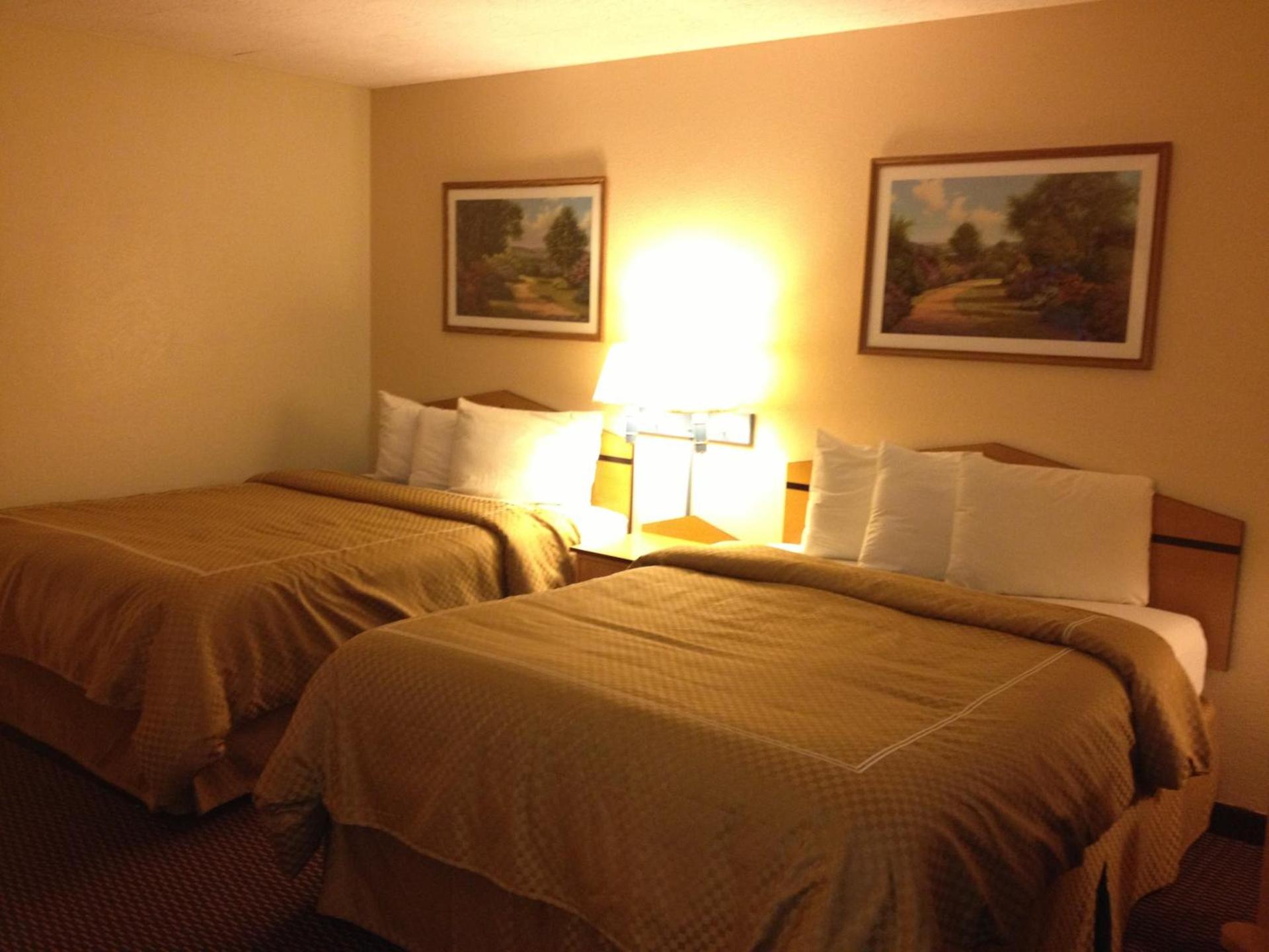 Virginia Inn photo 17