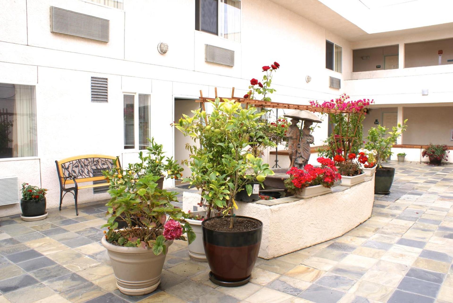Airport Inn photo 59