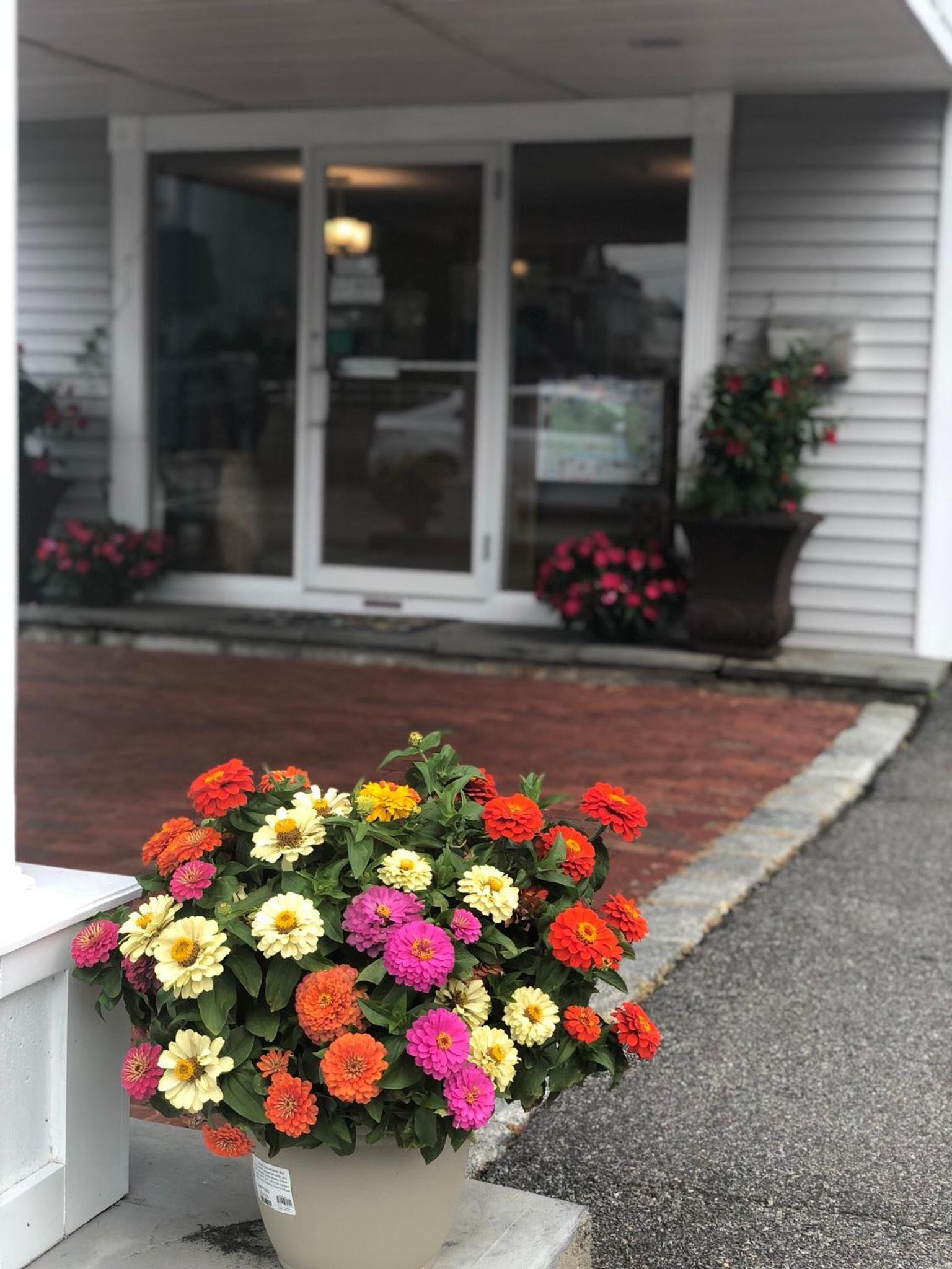SeaCoast Inn photo 5