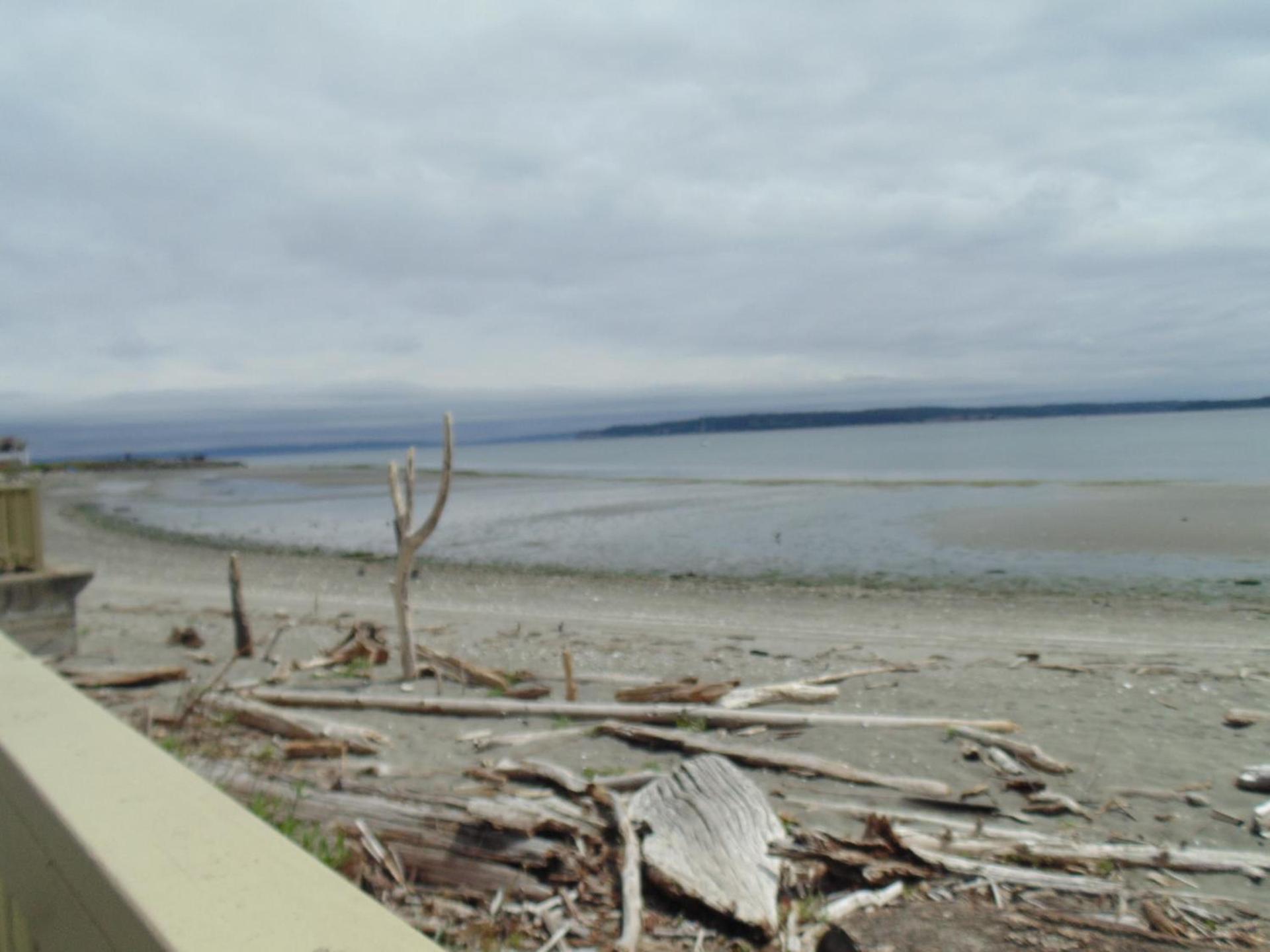 Water Front Inn photo 32
