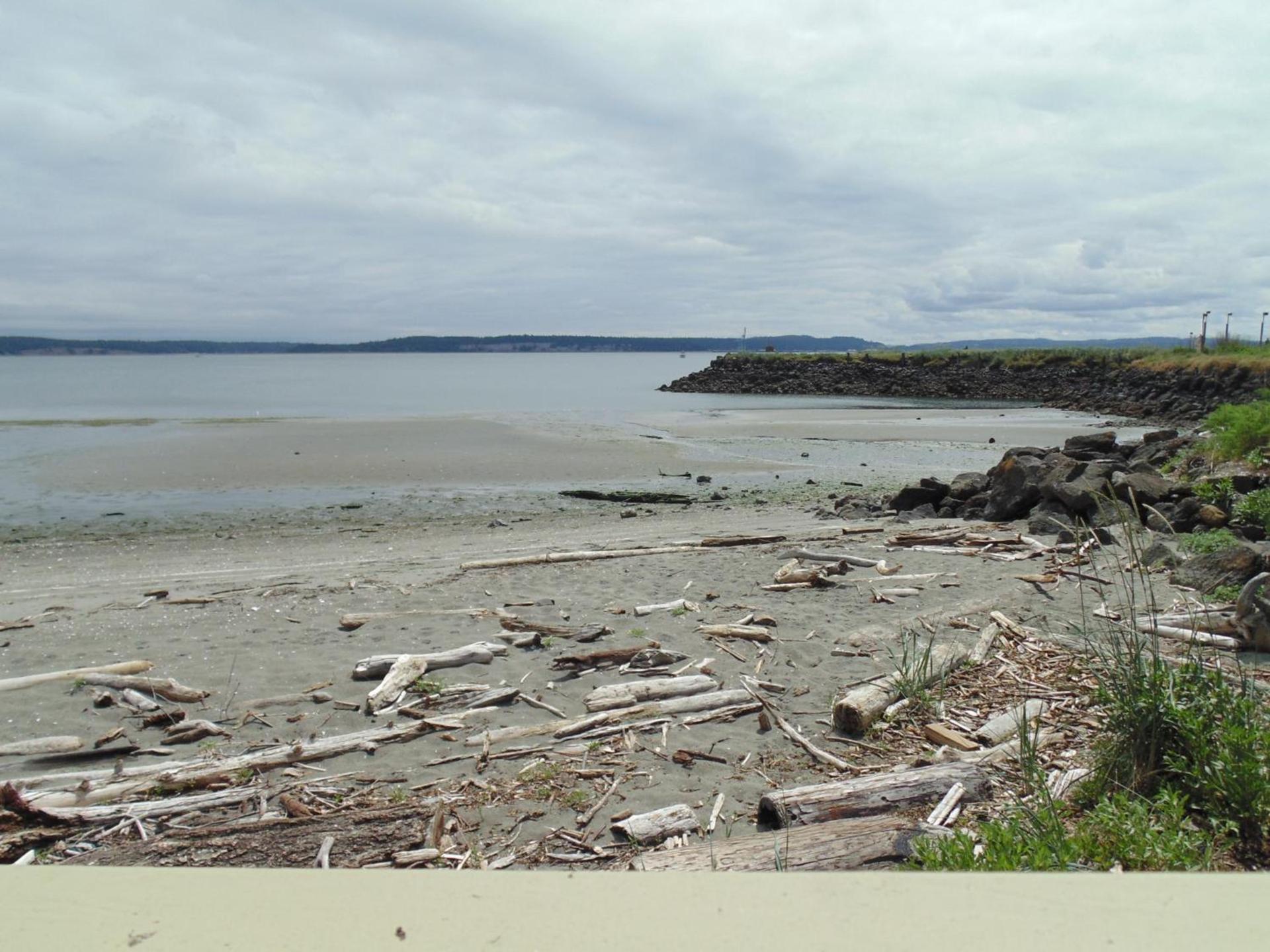Water Front Inn photo 31