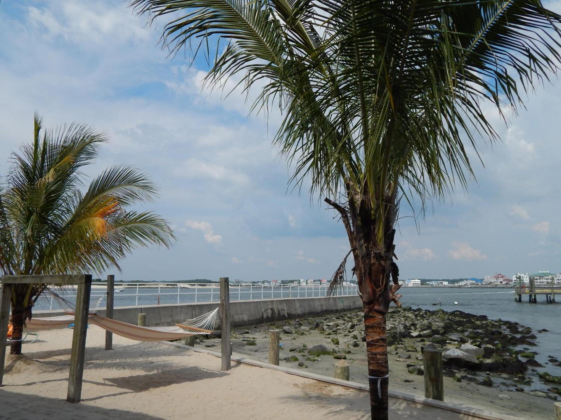 Oceanic Motel photo 28