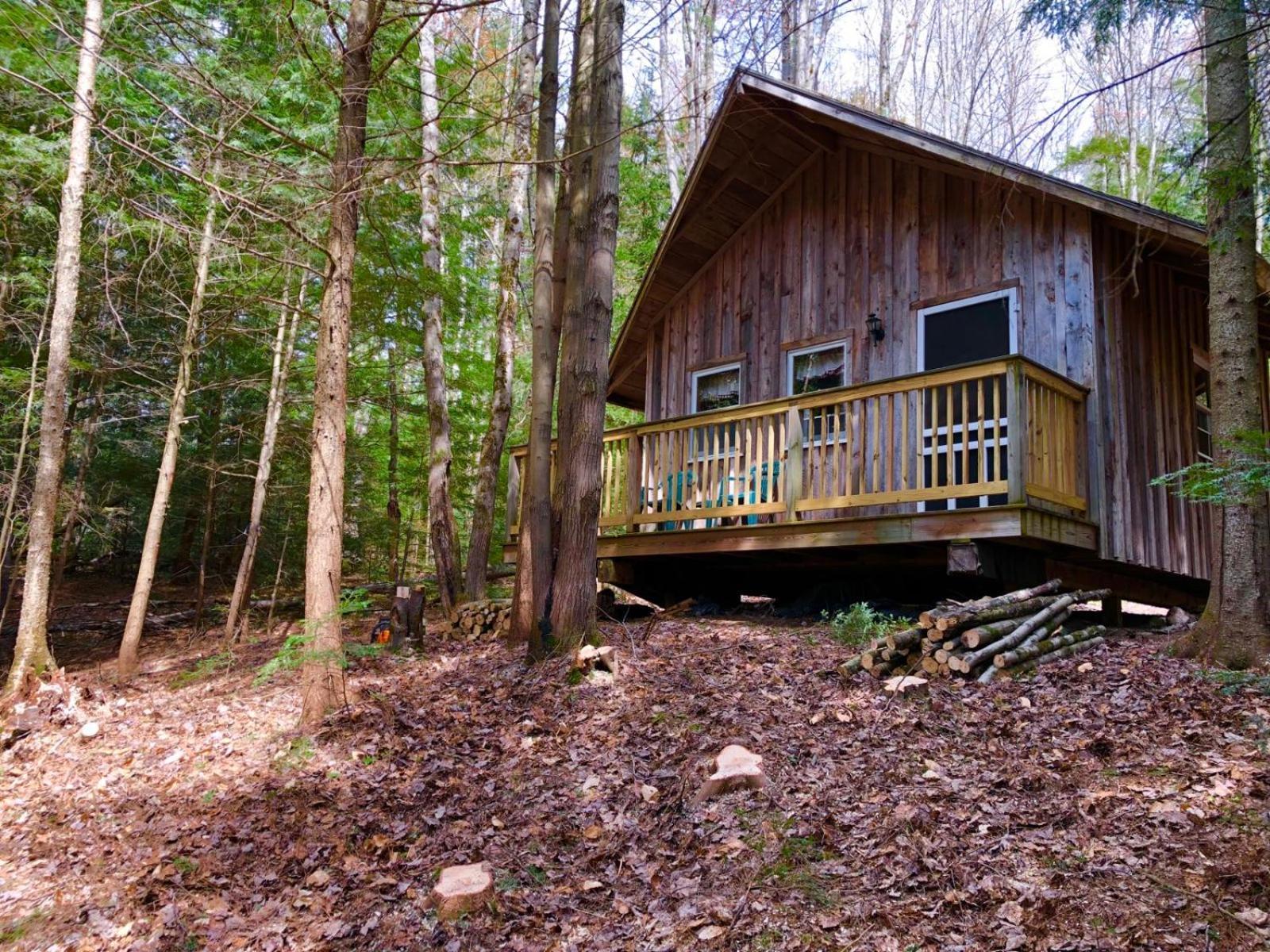 Grunberg Haus Inn & Cabins photo 35