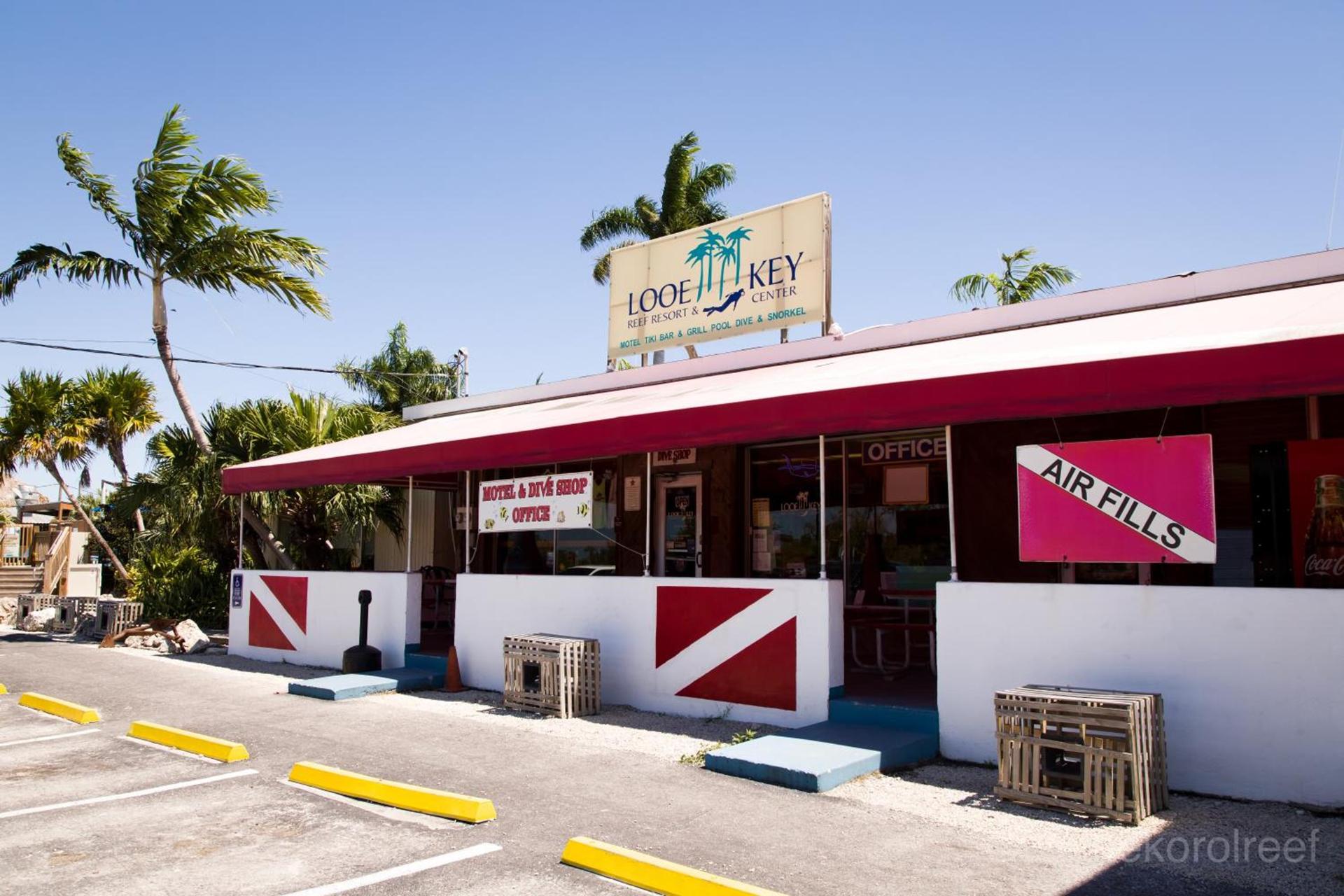 Looe Key Reef Resort and Dive Center photo 6