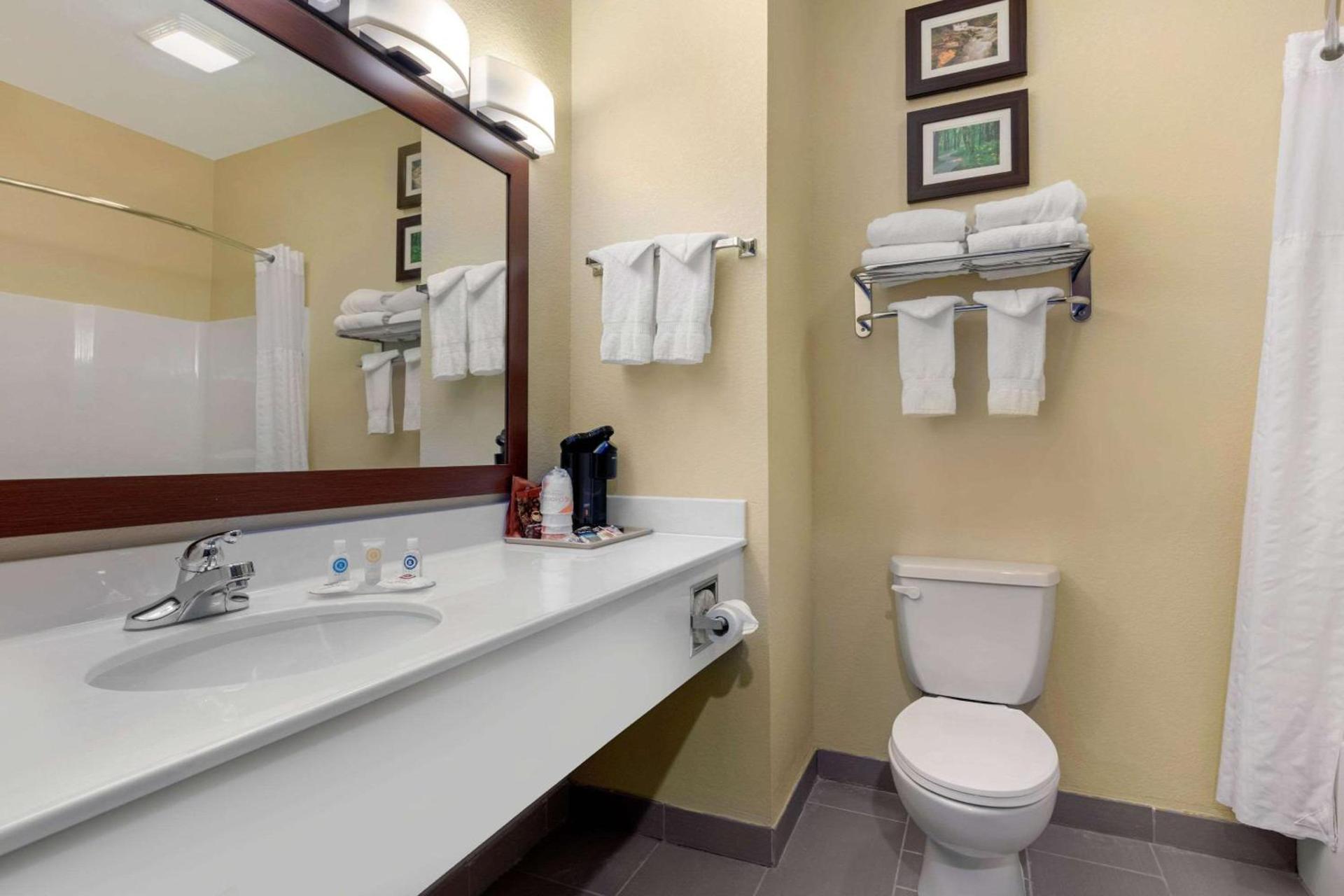 Comfort Inn Willow Springs US 60 and US 63 photo 9