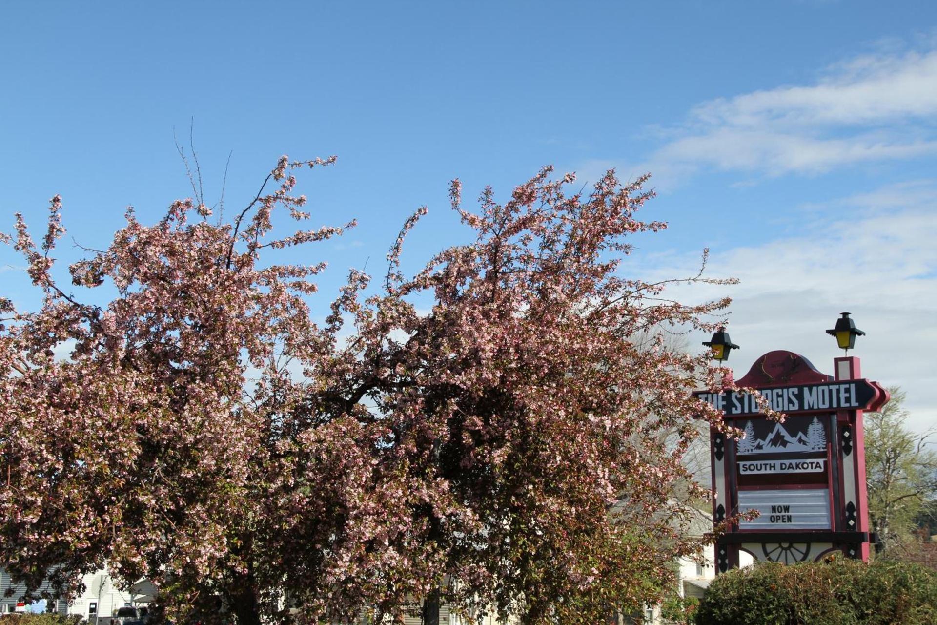 The Sturgis Motel photo 32