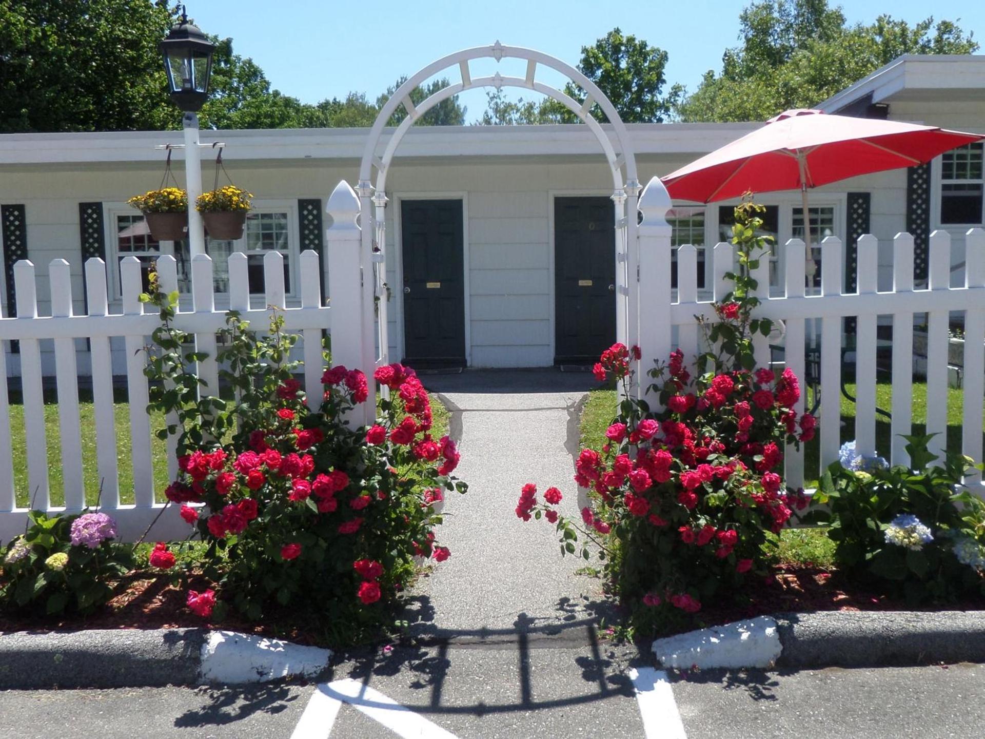 Claddagh Motel & Suites photo 19