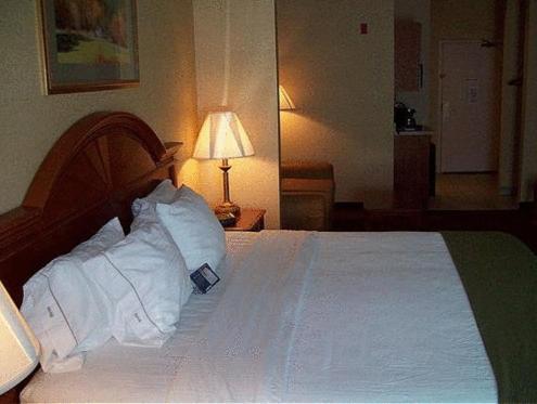 Holiday Inn Express Hotel & Suites Drums-Hazelton by IHG photo 46