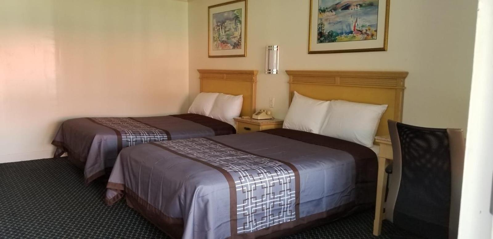 Budget Lodge photo 15