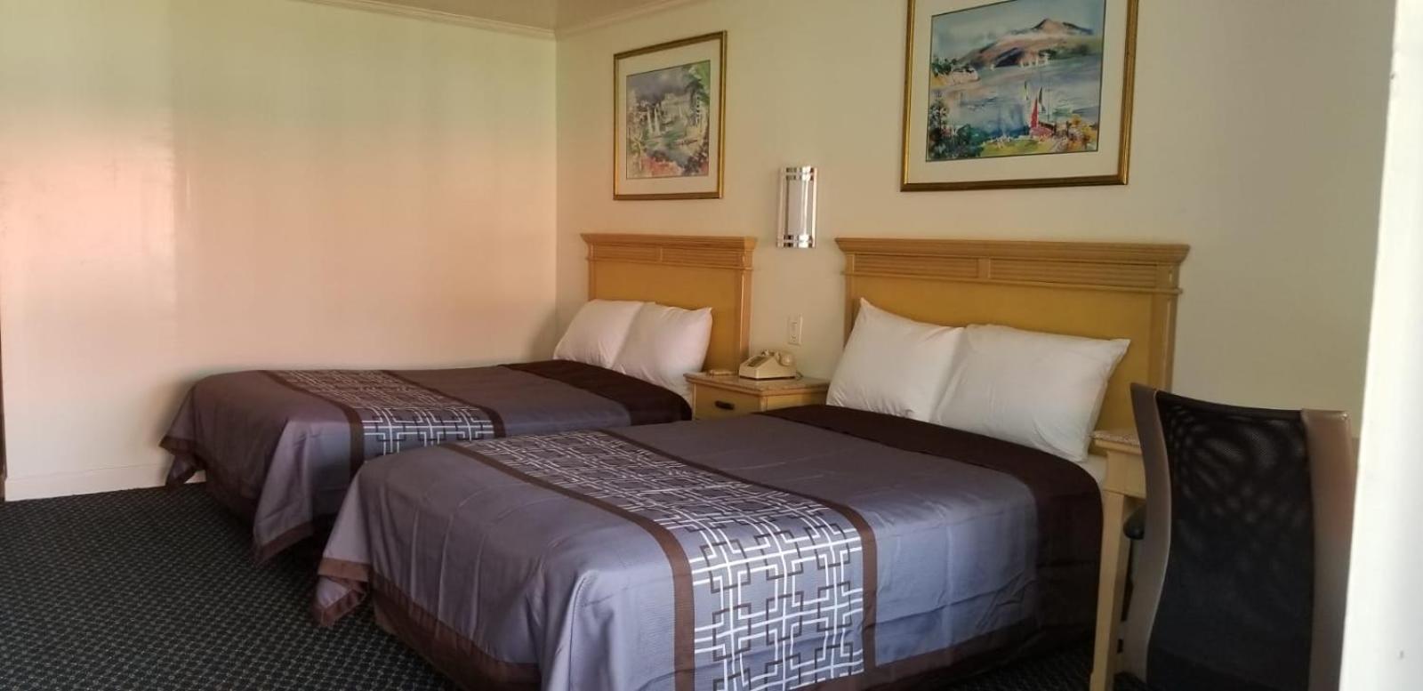 Budget Lodge photo 12
