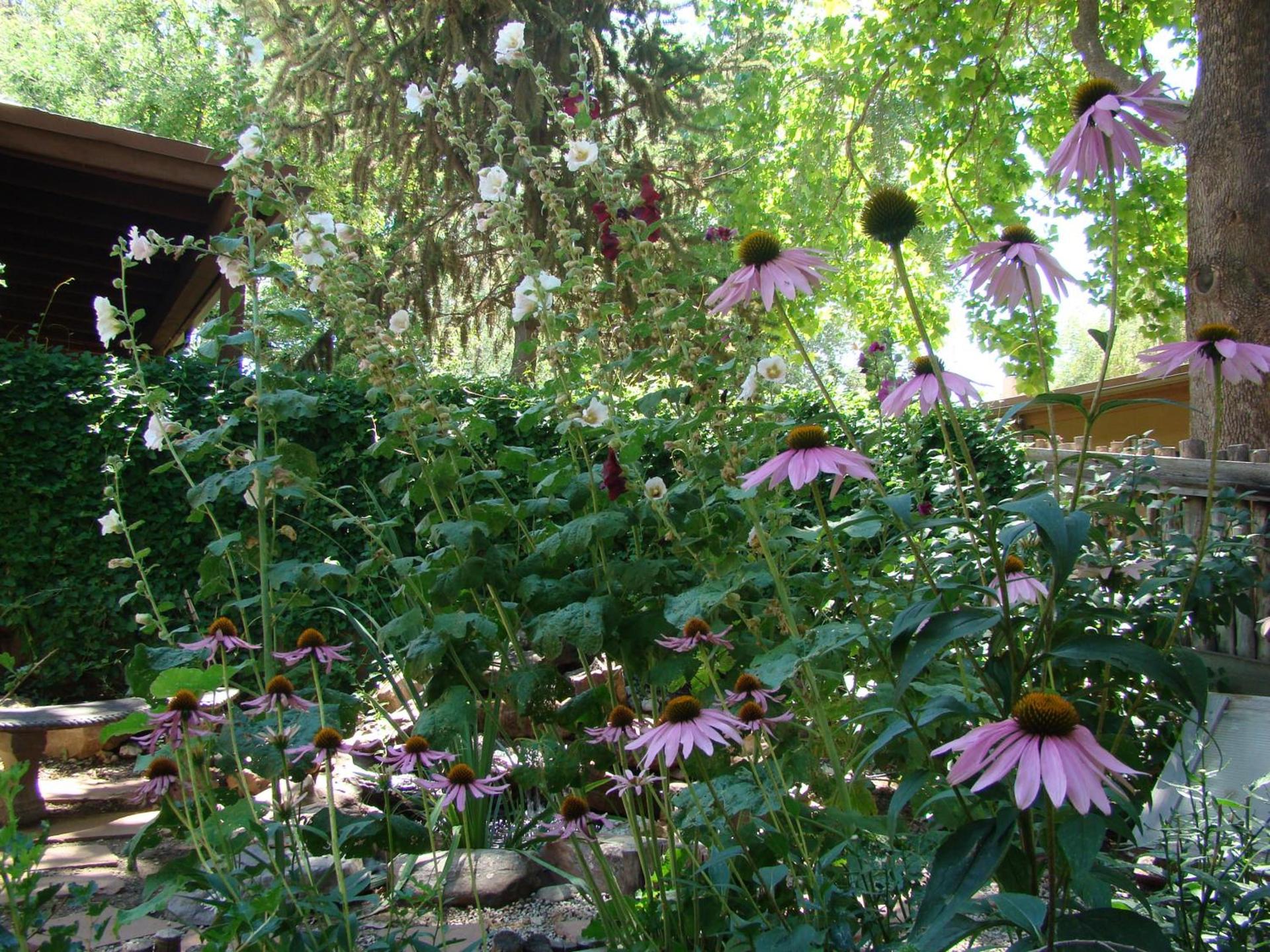 The Historic Taos Inn photo 11