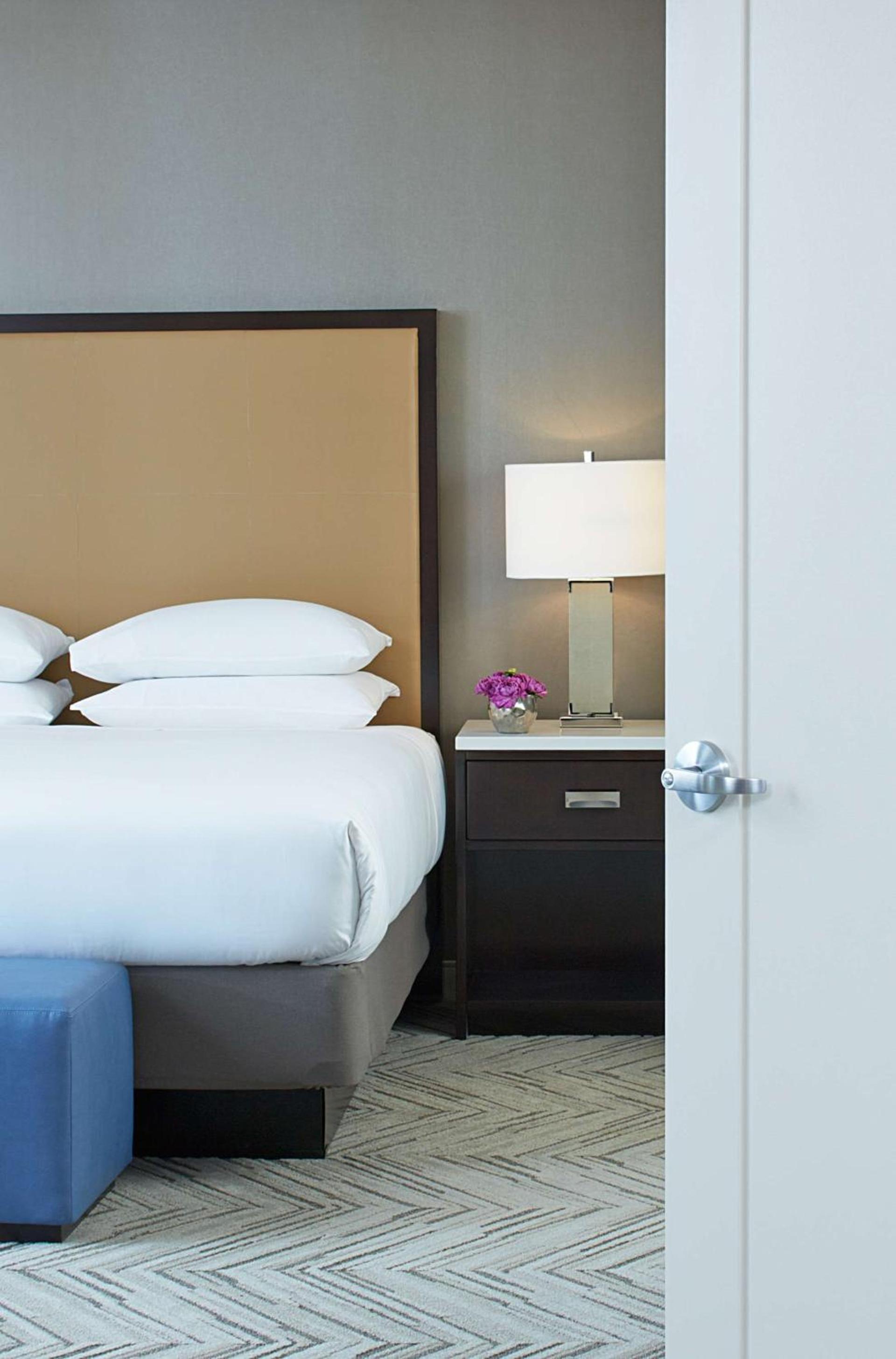 Hyatt Regency Atlanta Perimeter at Villa Christina photo 5