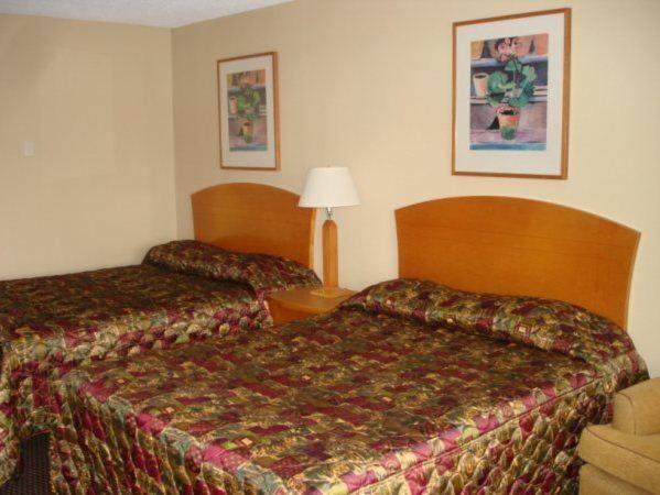 Cedars Inn Lewiston photo 9