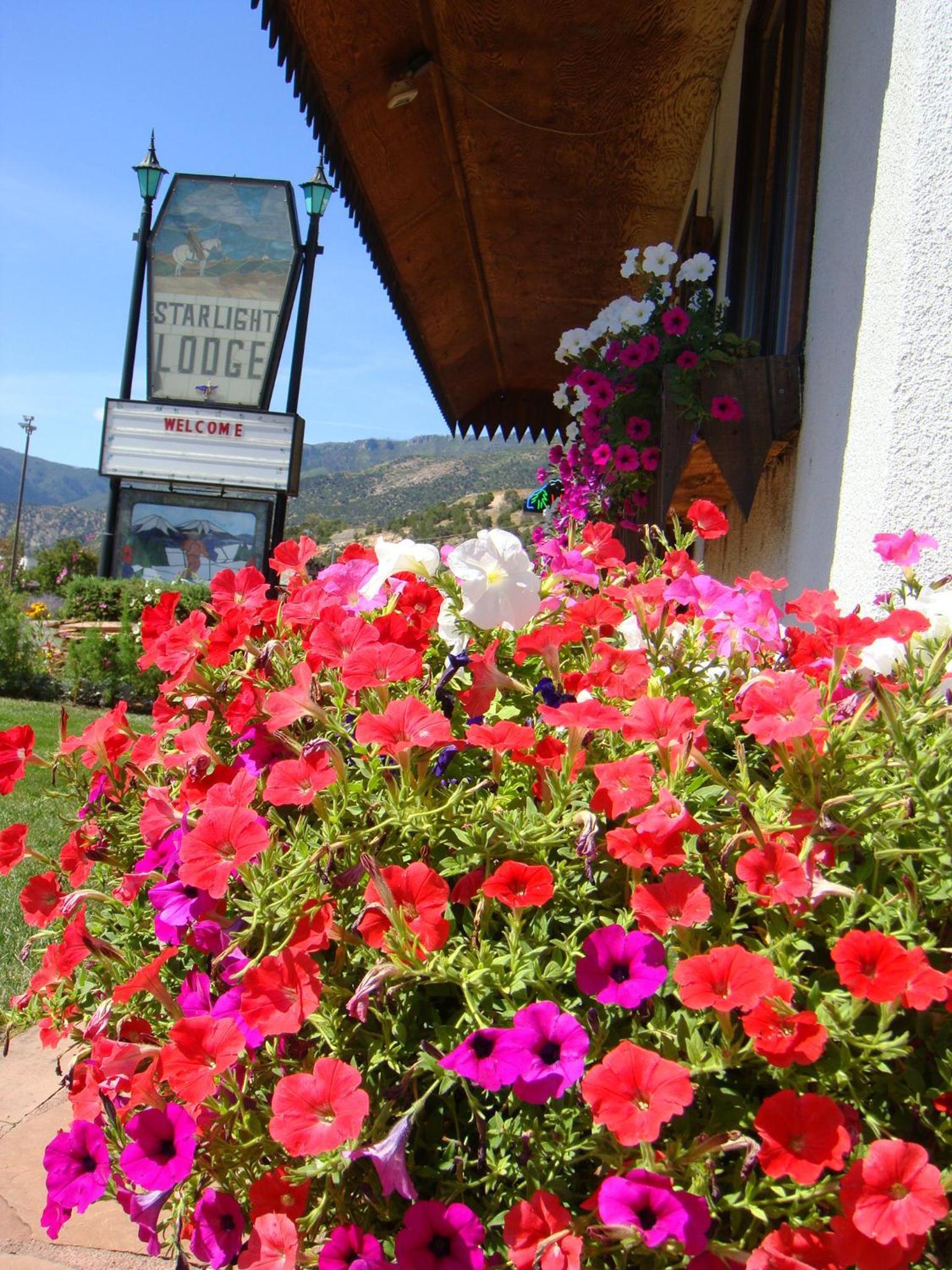 Starlight Lodge photo 2