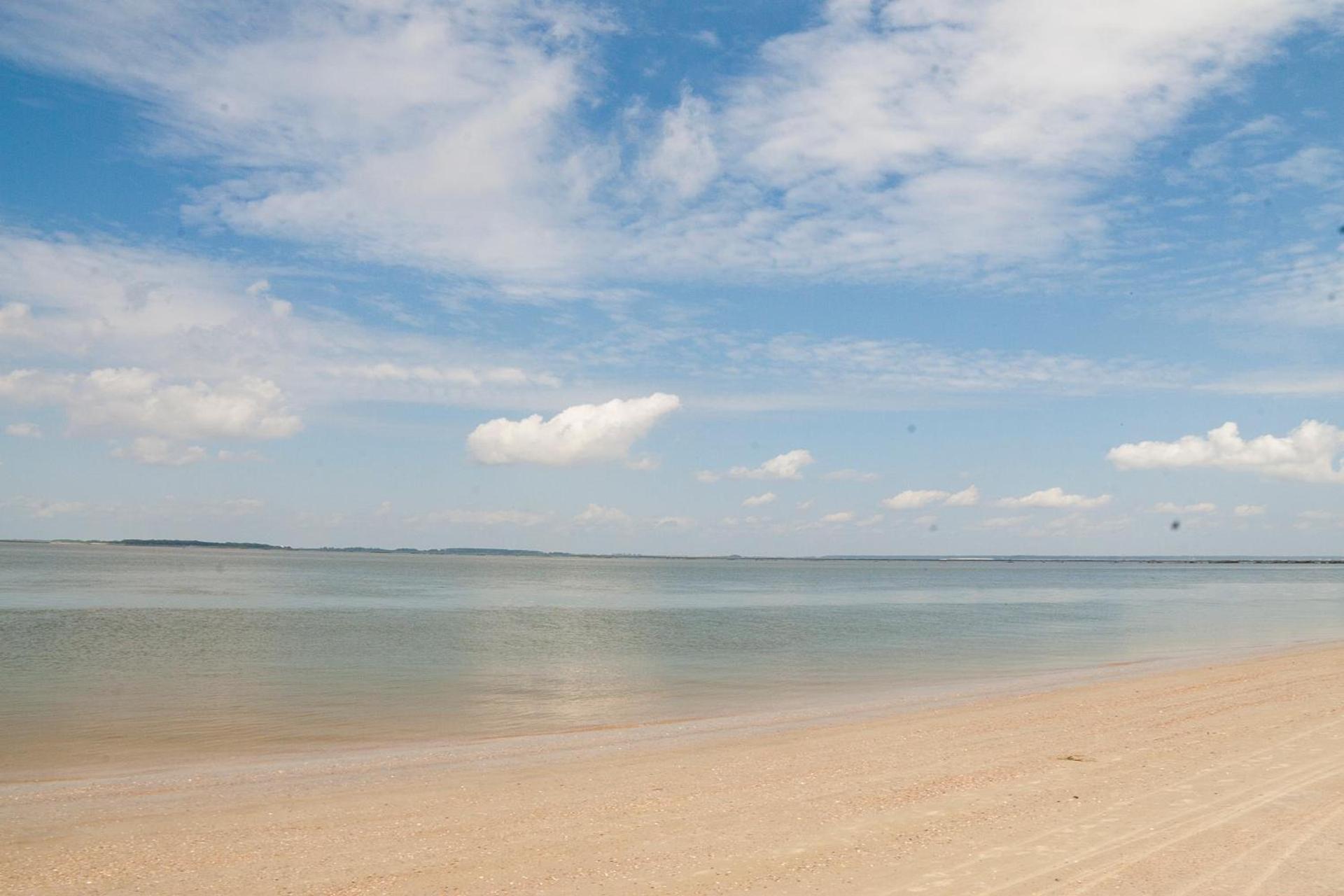DeSoto Beach Gardens photo 4