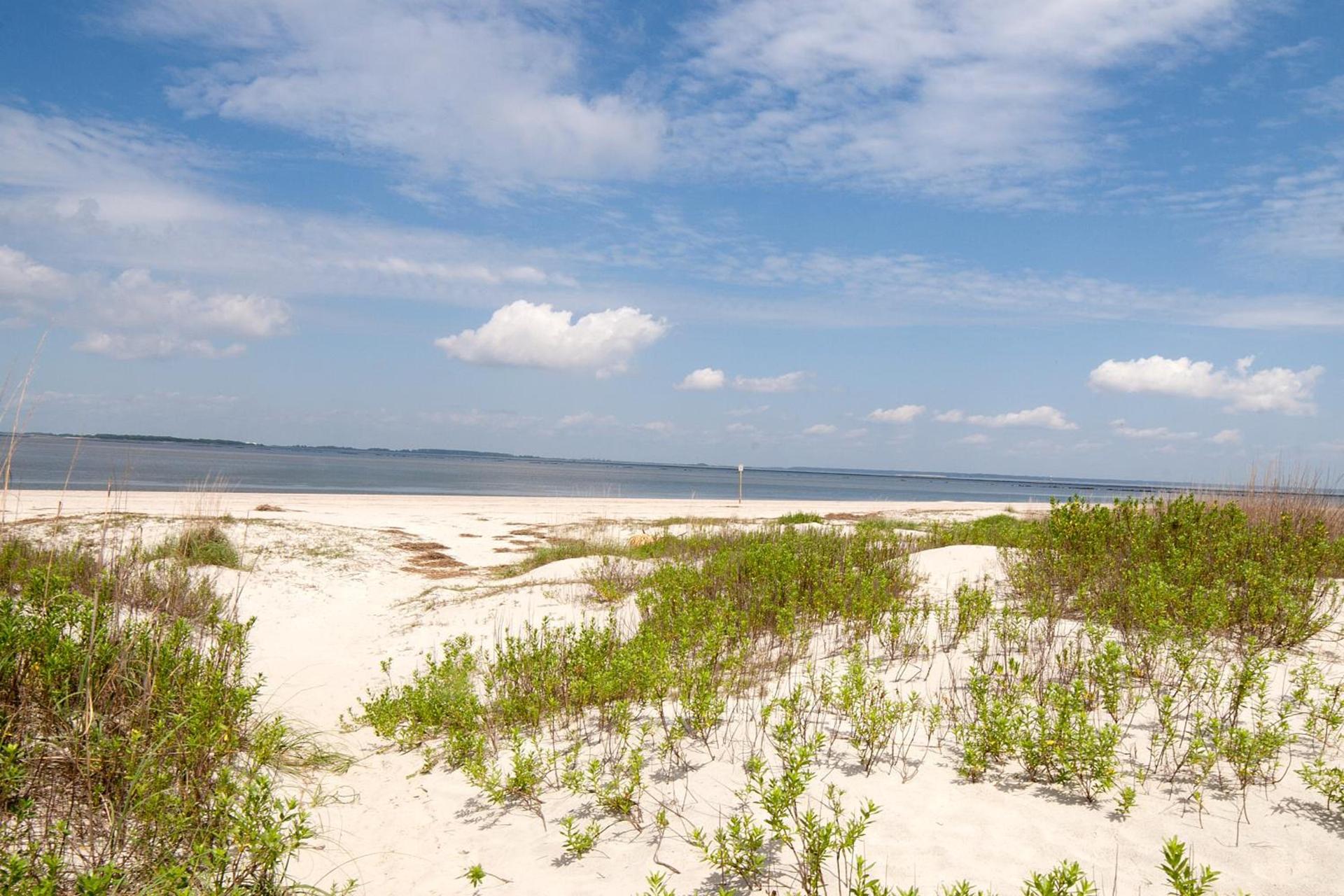 DeSoto Beach Gardens photo 9