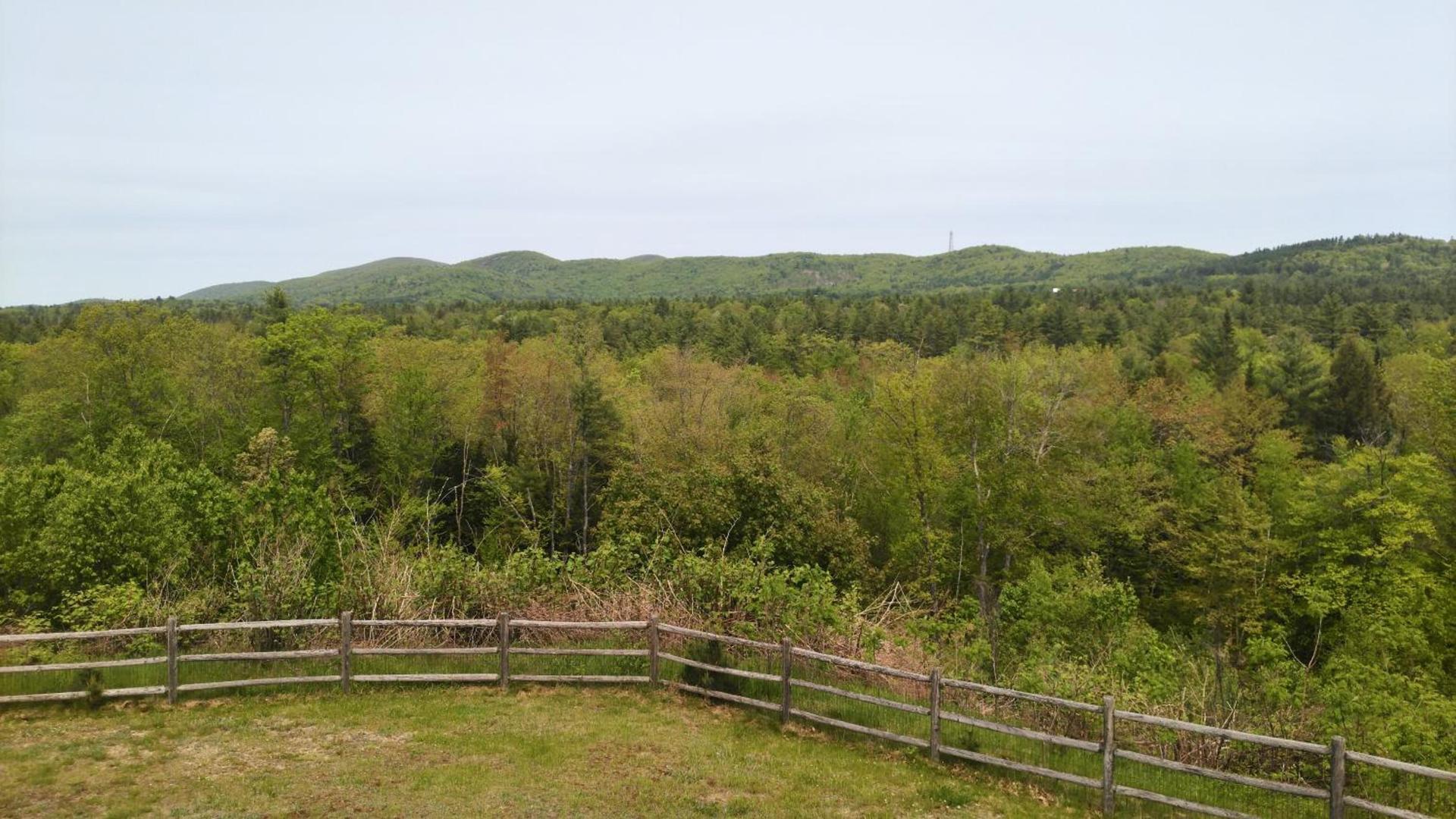 Midway Lodging photo 29