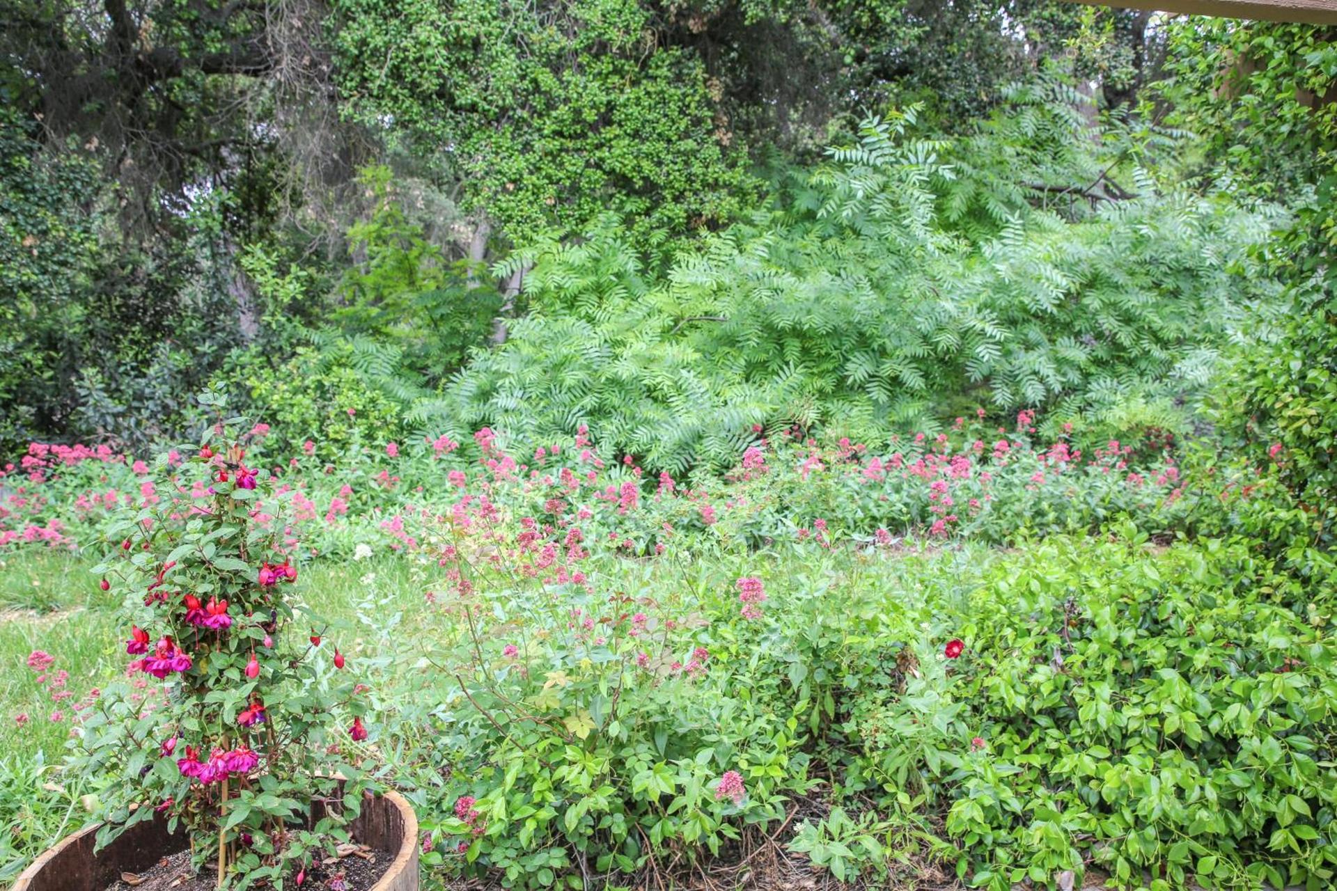 The Eden House Vineyard photo 25