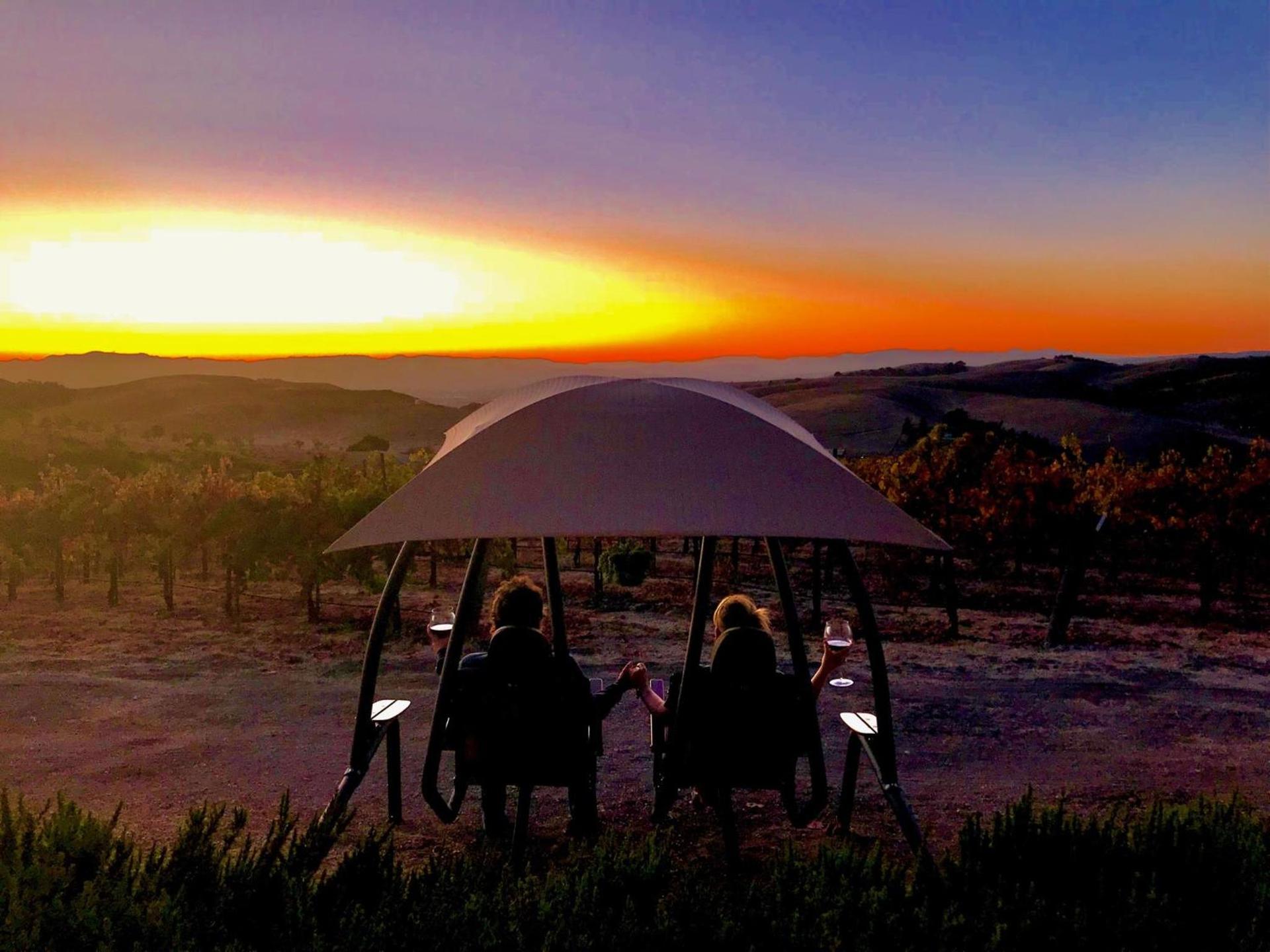 The Eden House Vineyard photo 7