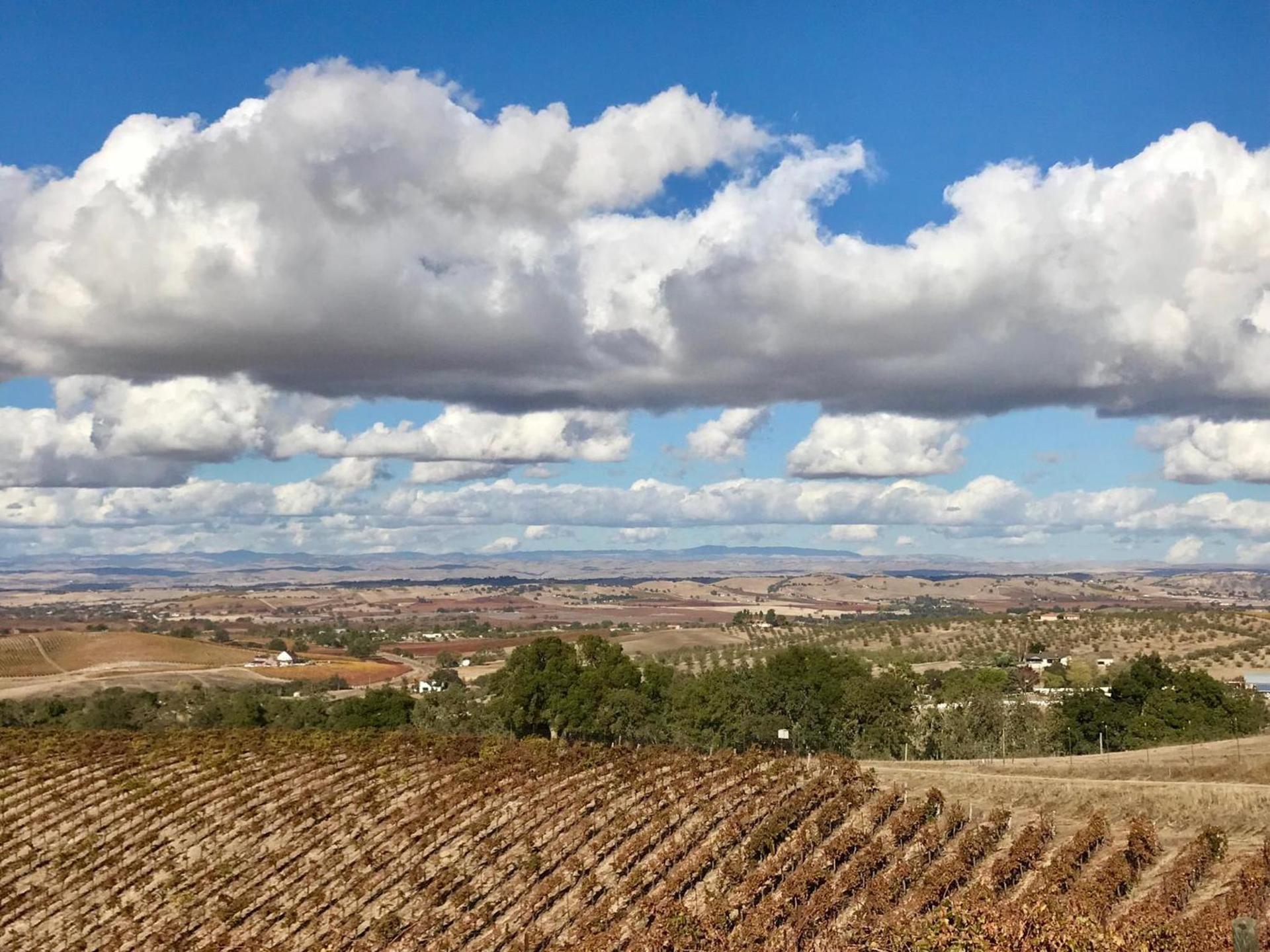 The Eden House Vineyard photo 8