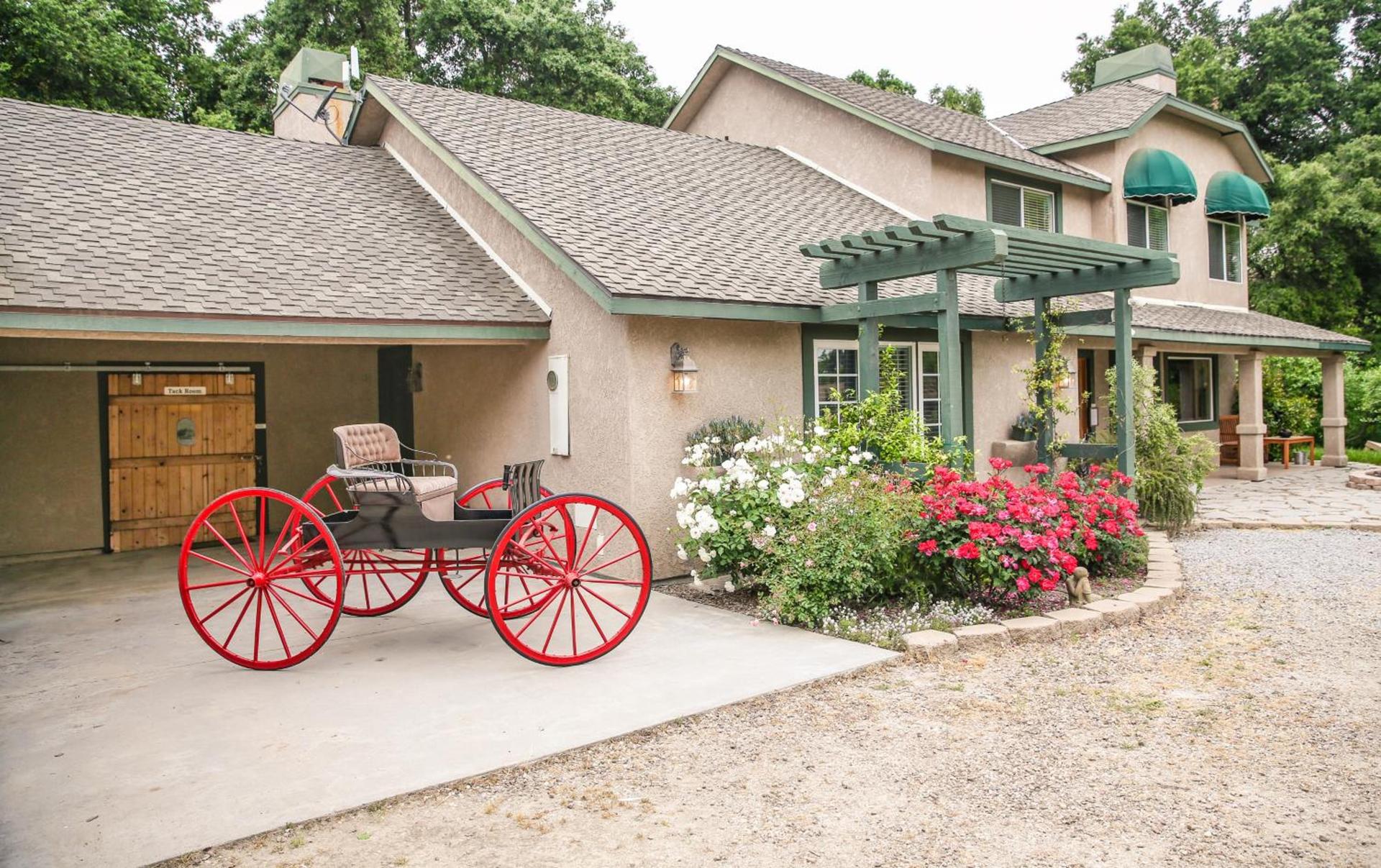 The Eden House Vineyard photo 1