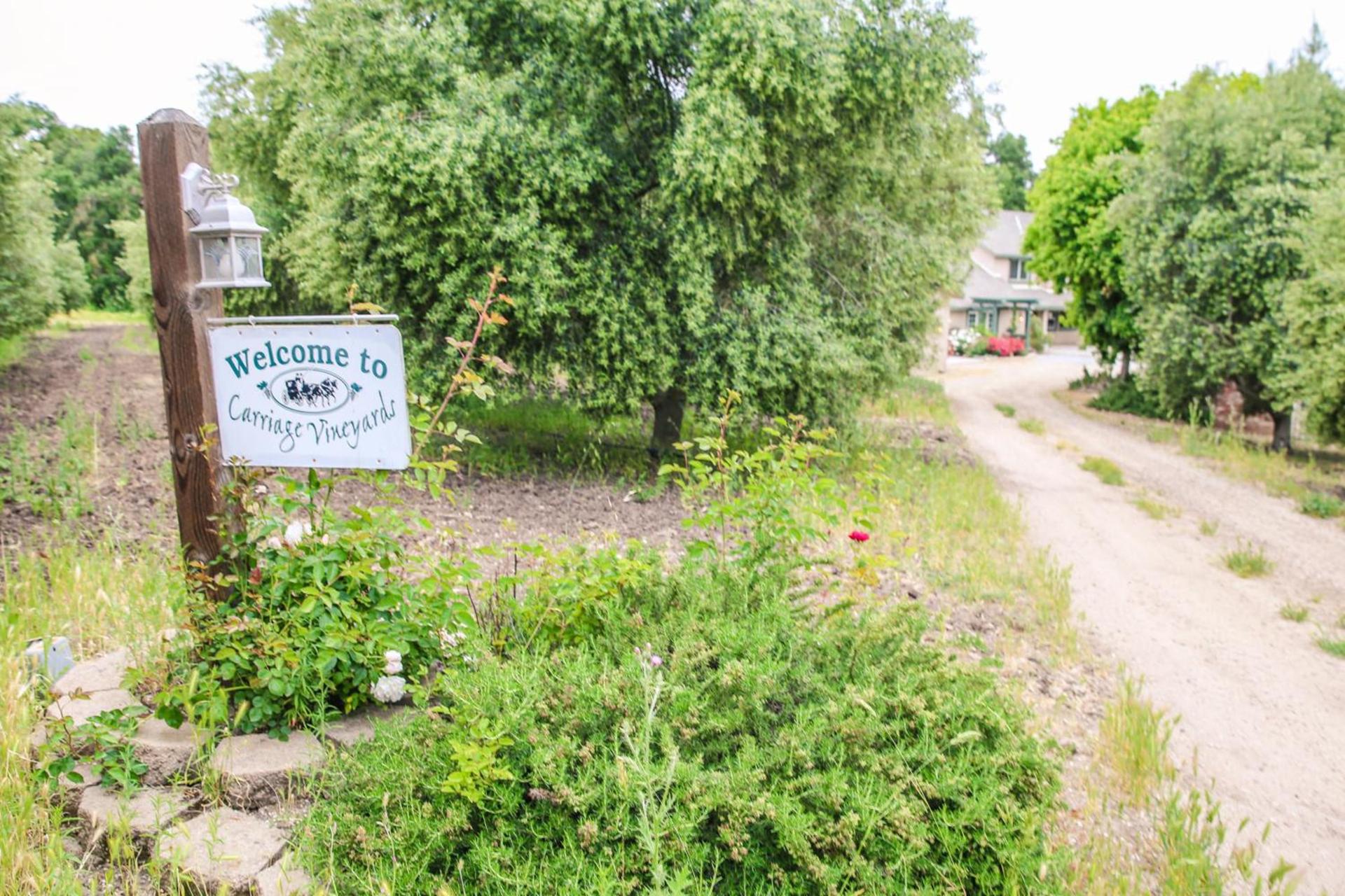The Eden House Vineyard photo 84
